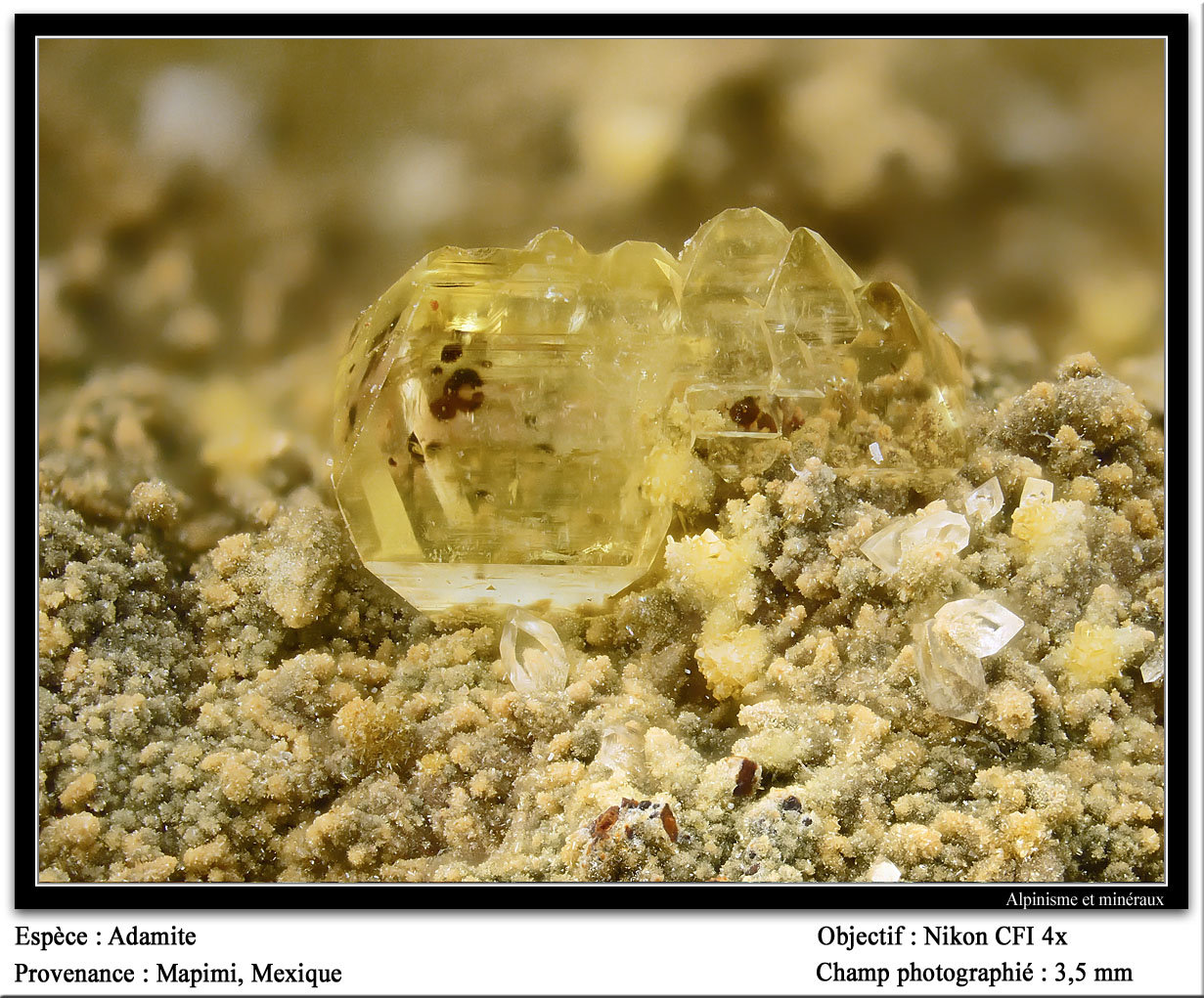 Adamite
3.5 mm
(Autor: ploum)