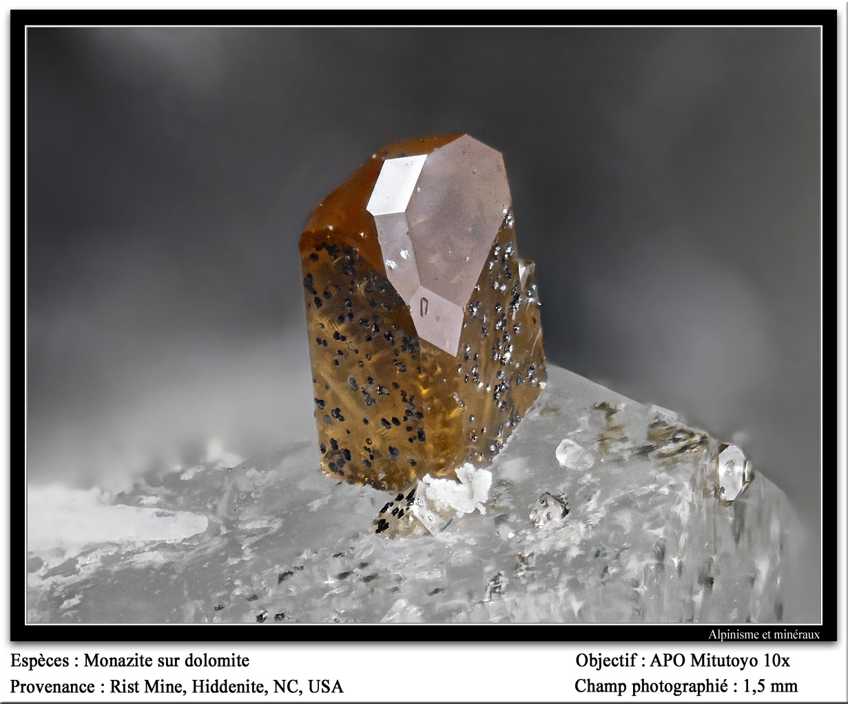 Monazite-(Ce)
fov 1.5 mm
(Autor: ploum)