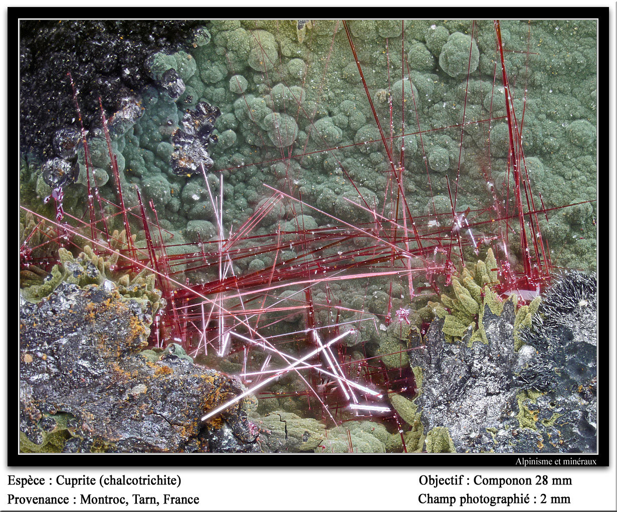 Cuprite
fov 2 mm
(Autor: ploum)