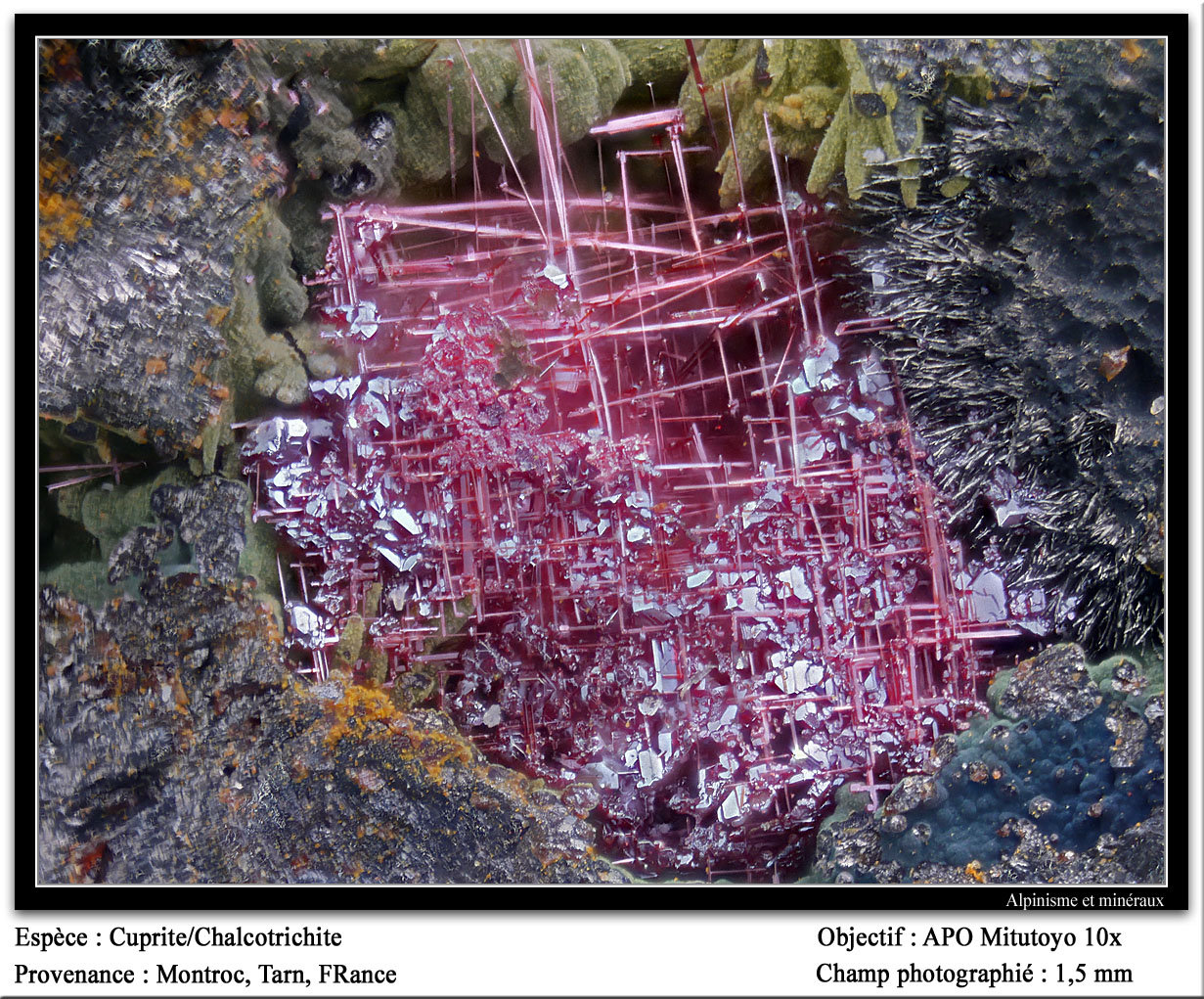 Cuprite
fov 1.5 mm
(Autor: ploum)
