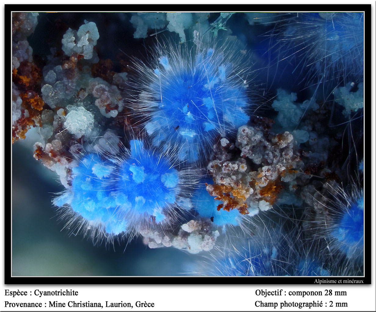 Cyanotrichite
fov 2 mm
(Autor: ploum)