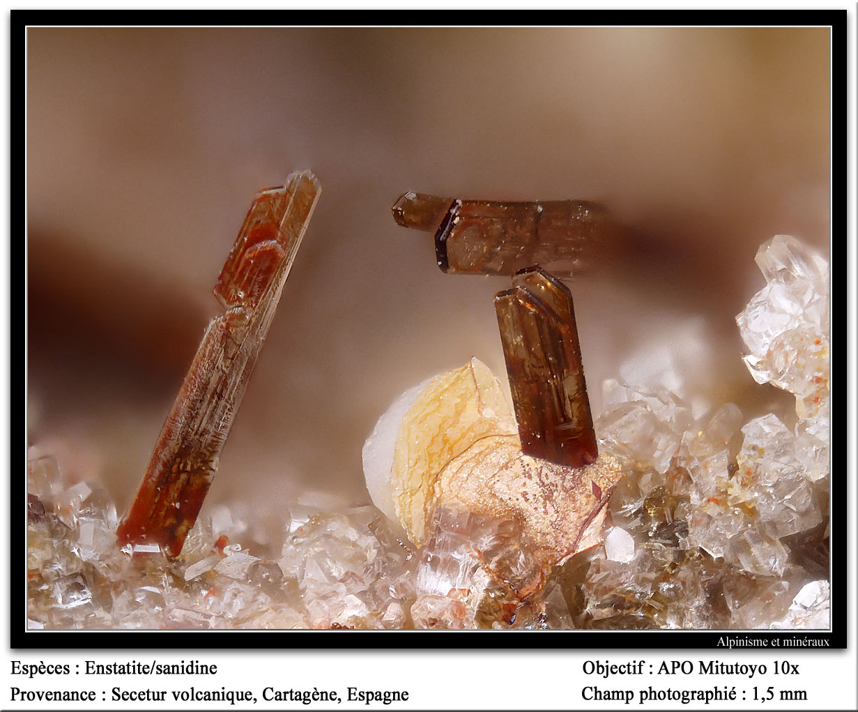 Enstatite, sanidine
foov 1.5 mm
(Autor: ploum)