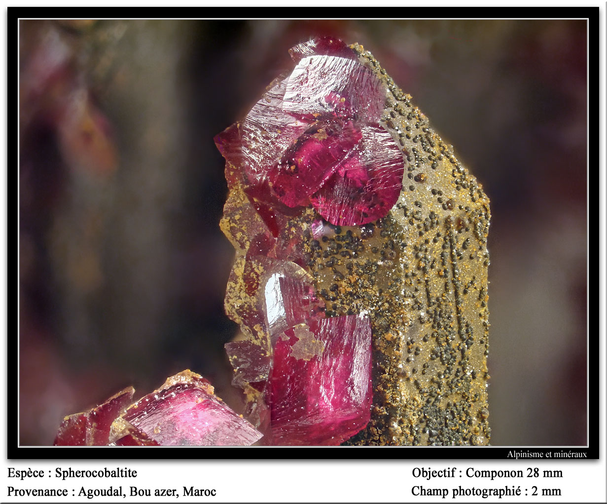 Spherocobaltite
fov 2 mm
(Autor: ploum)