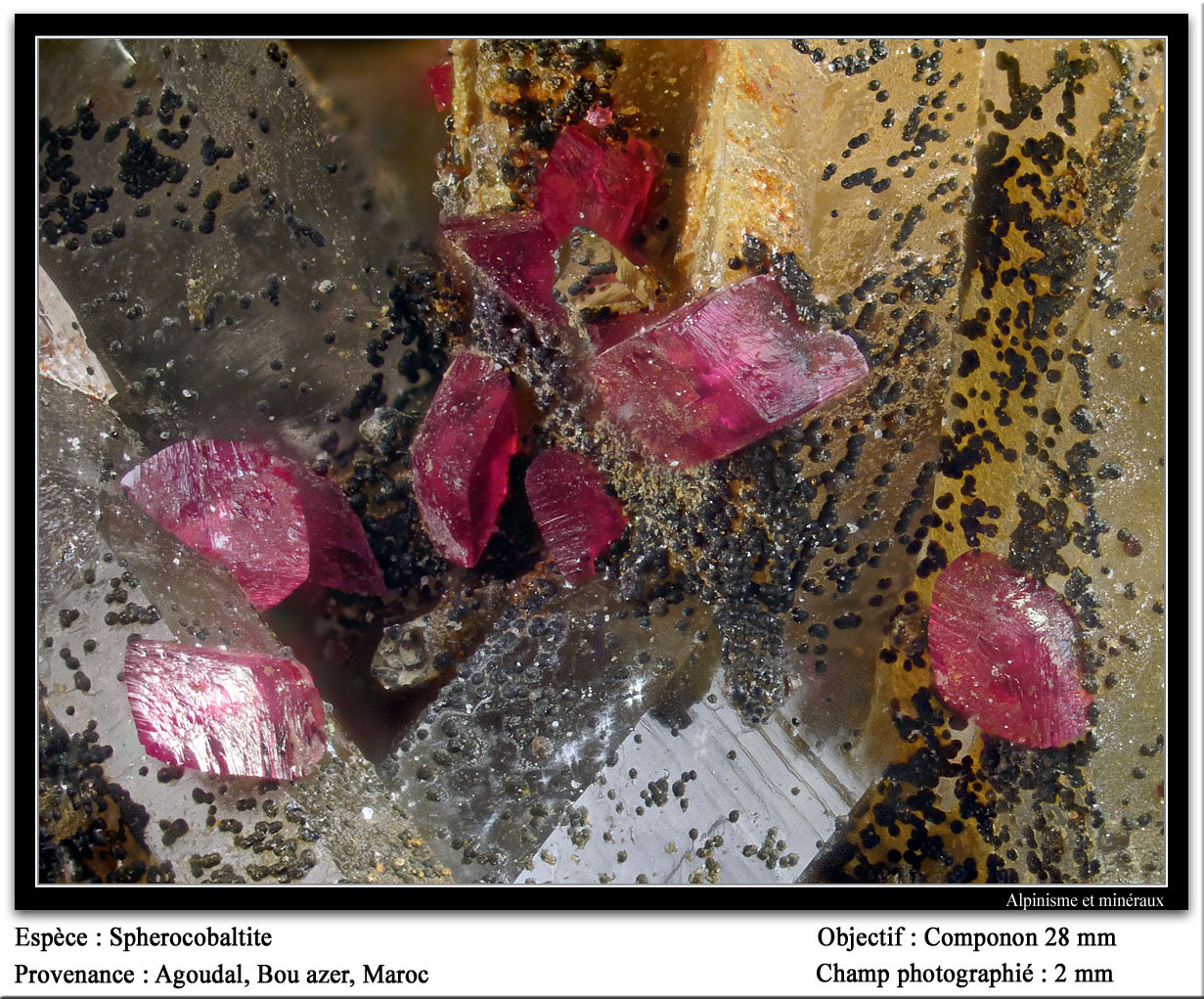 Spherocobaltite
fov 2 mm
(Autor: ploum)