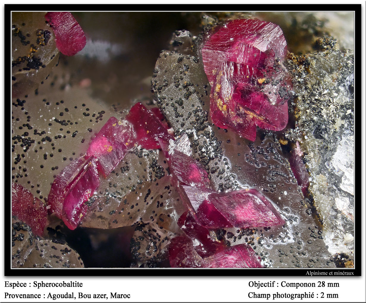 Spherocobaltite
fov 2 mm
(Autor: ploum)