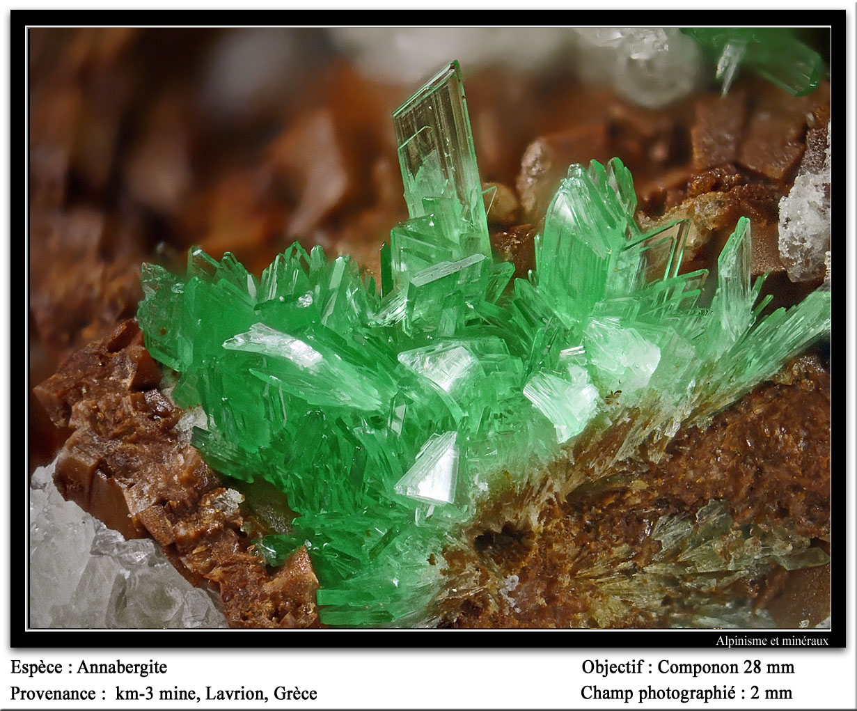 Annabergite
fov 2 mm
(Autor: ploum)