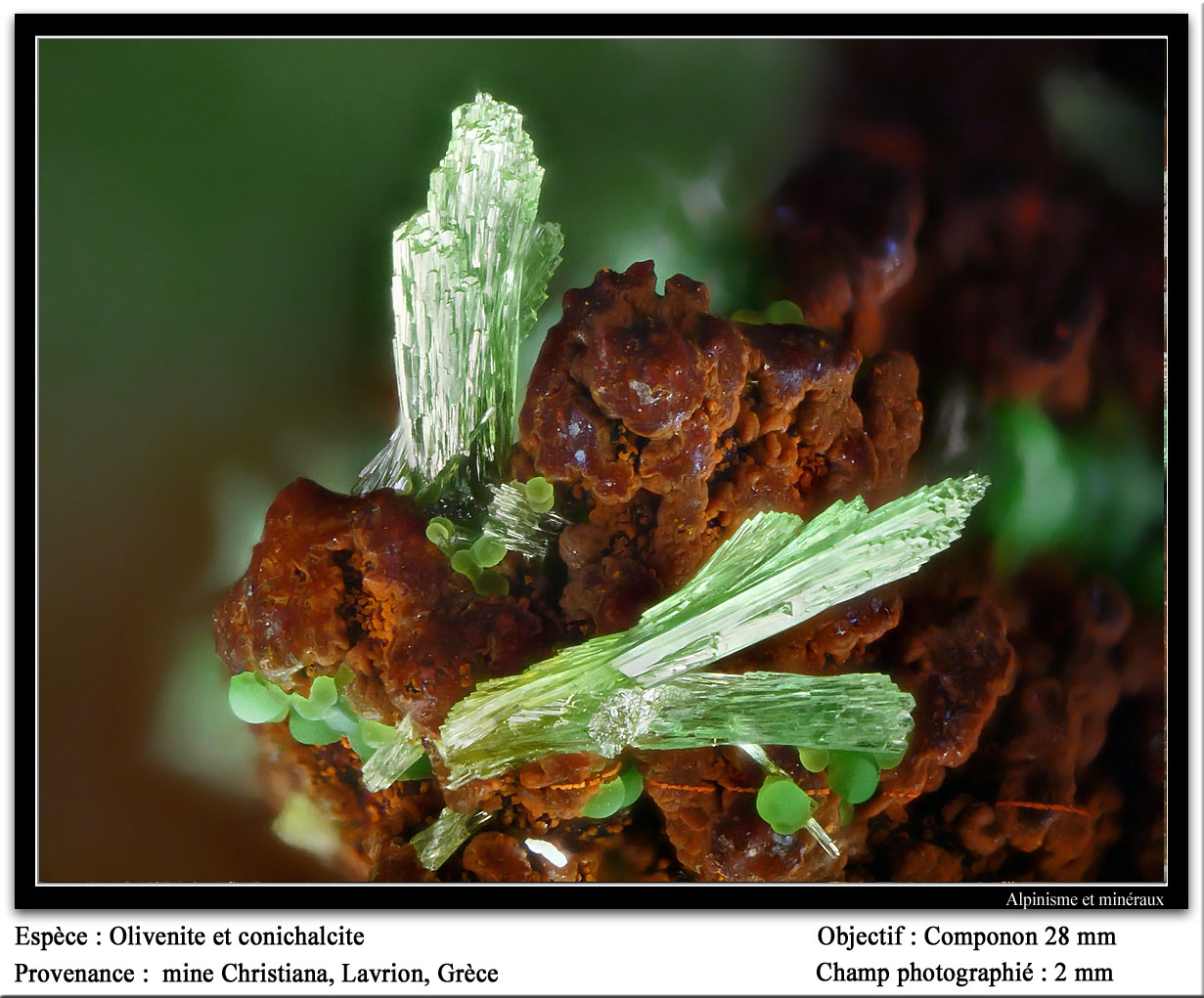 Olivenite and conichalcite
fov 2 mm
(Autor: ploum)
