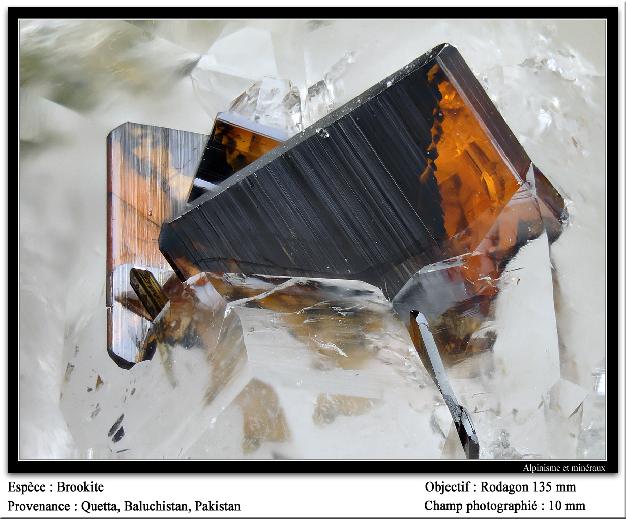 Brookite
fov 10 mm
(Autor: ploum)