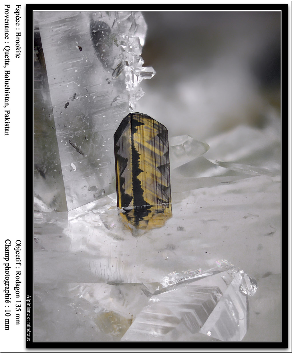 Brookite
fov 10 mm
(Autor: ploum)