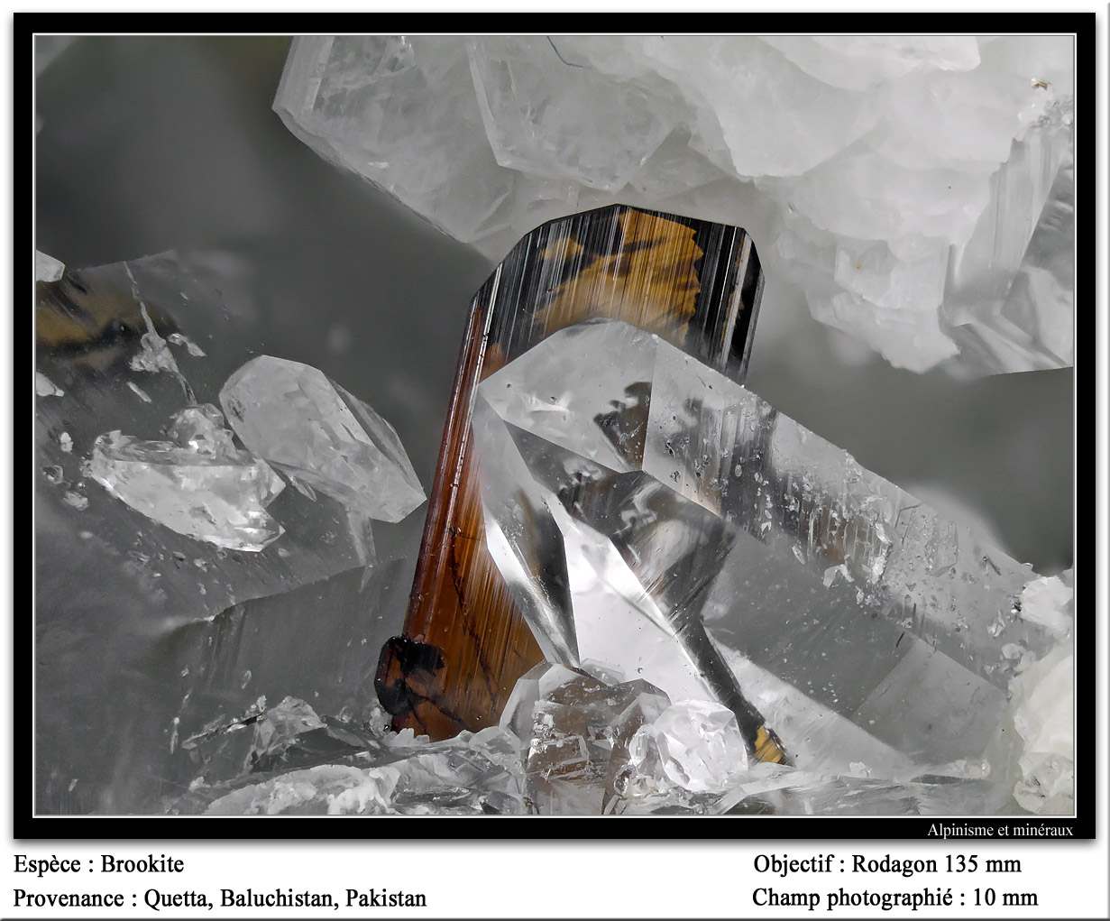 Brookite
fov 10 mm
(Autor: ploum)