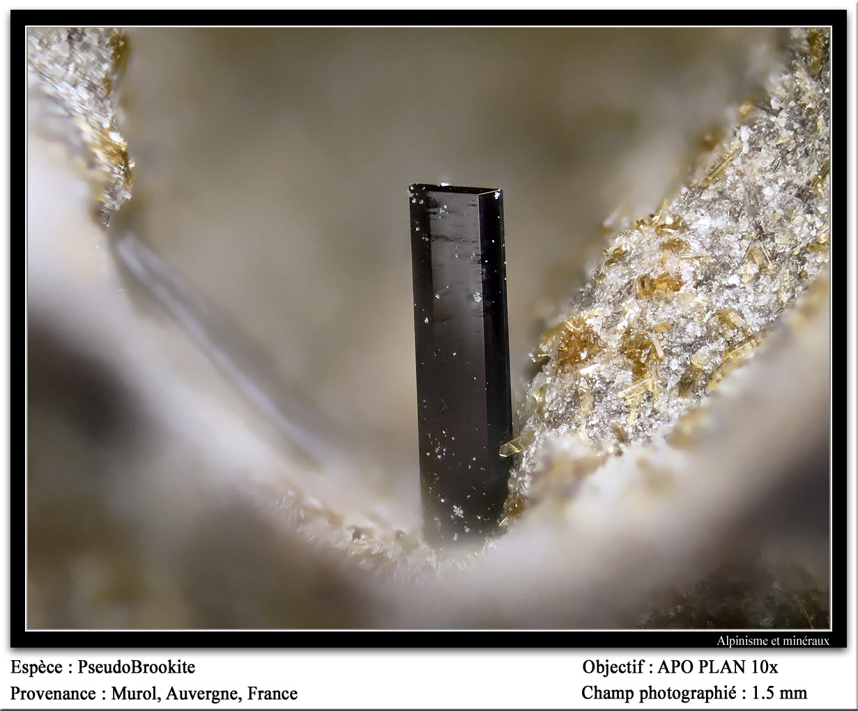 Pseudobrookite
fov 1.5 mm
(Autor: ploum)