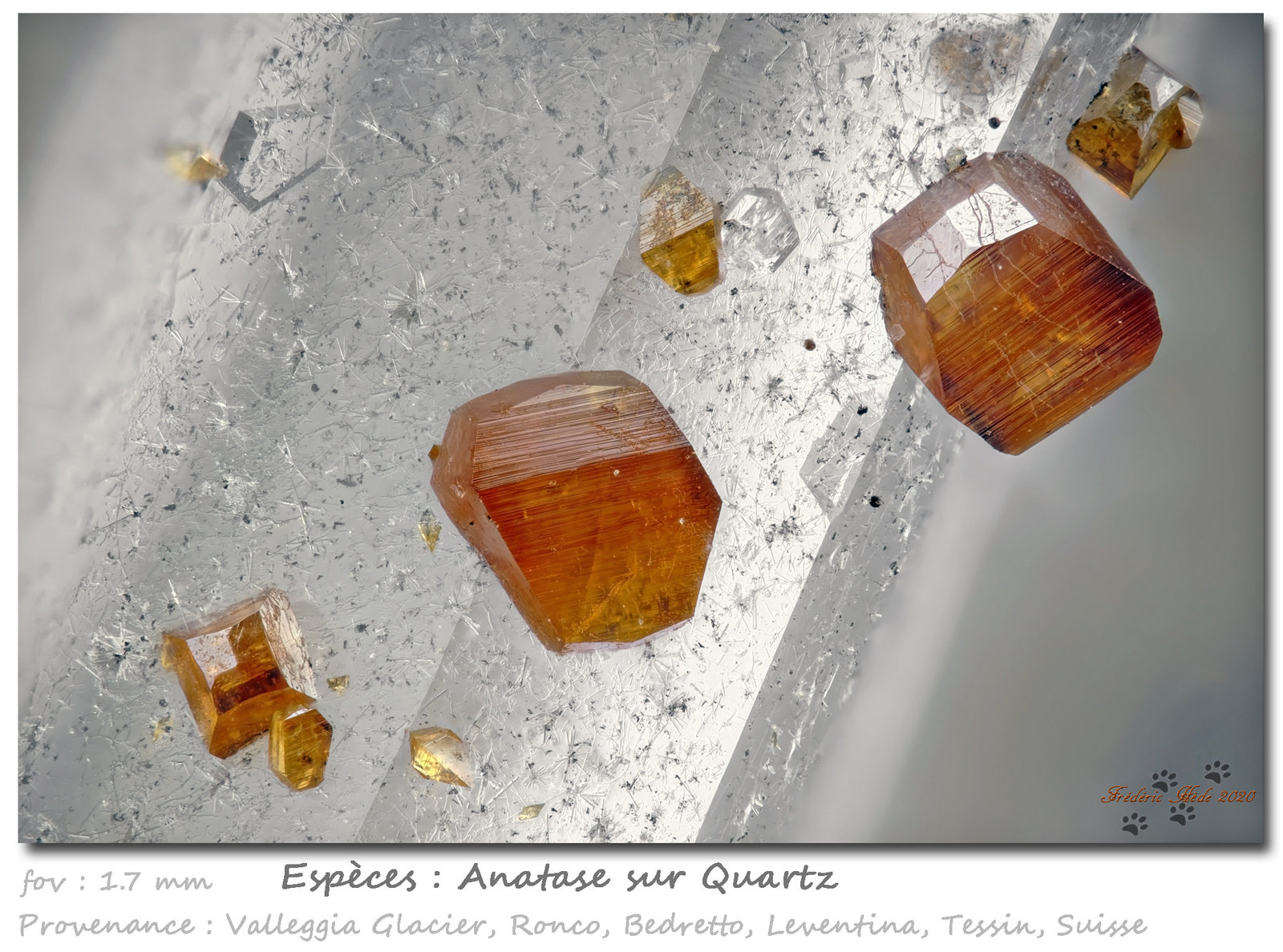 Anatase on Quartz
fov 1.7 mm
(Autor: ploum)