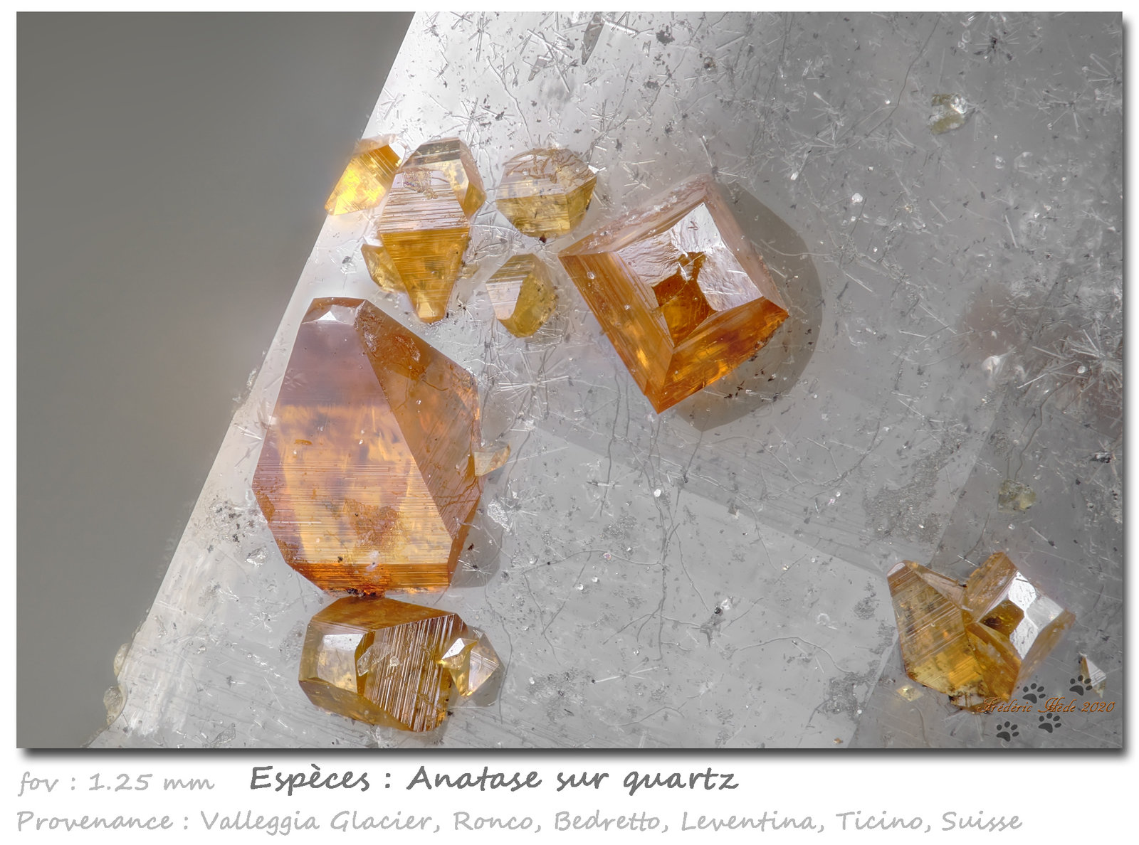 Anatase on Quartz
fov 1.25 mm
(Autor: ploum)