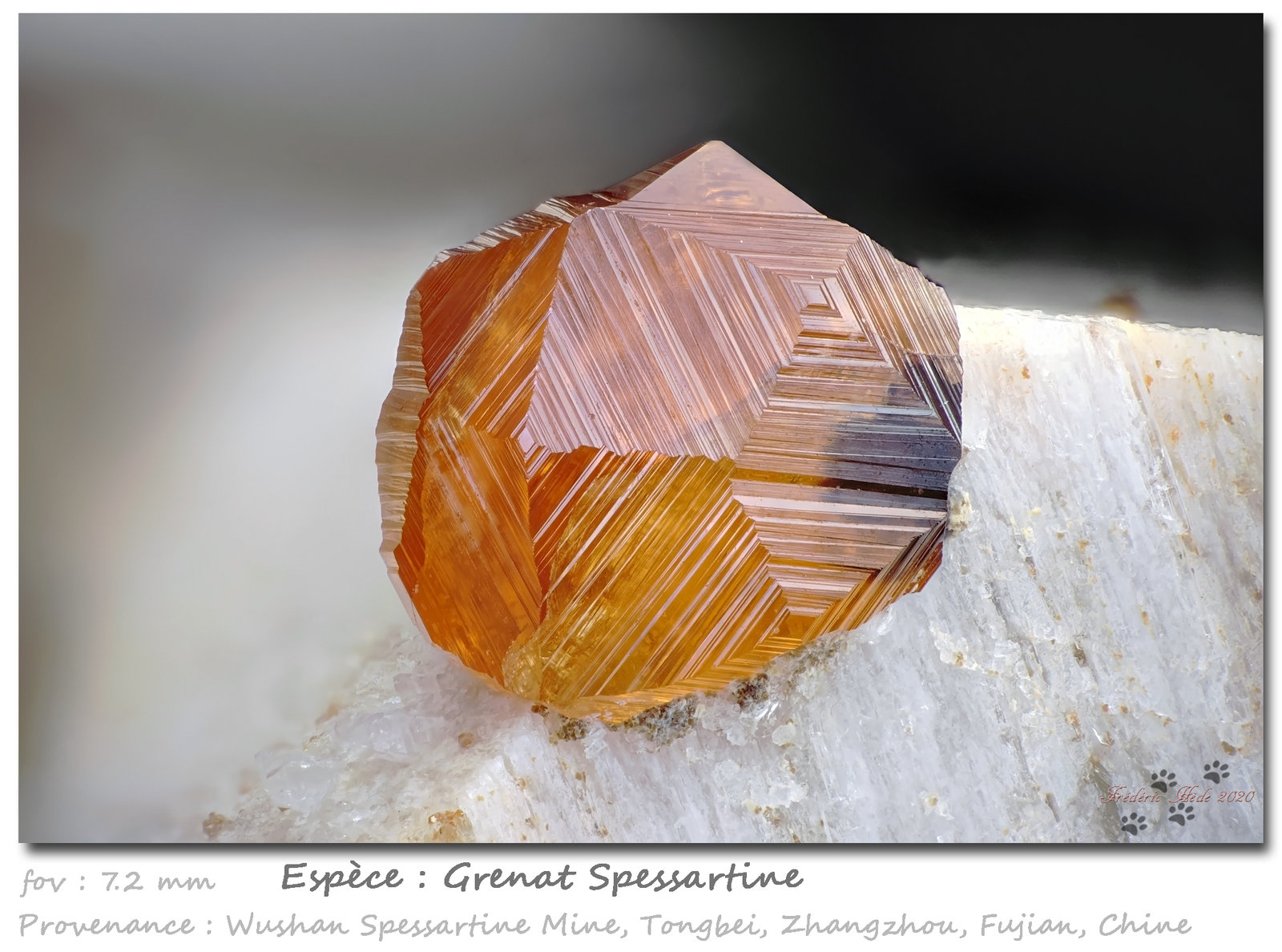 Spessartine
fov 7.2 mm
(Autor: ploum)