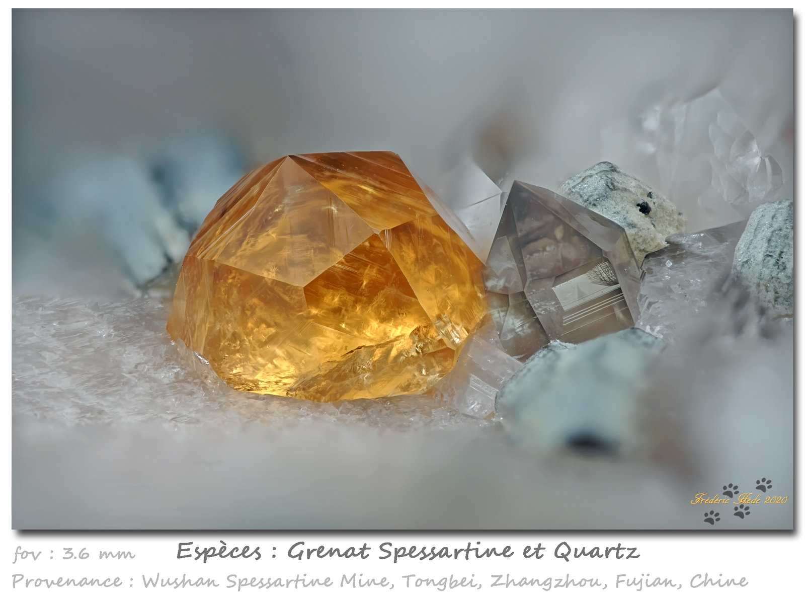 Spessartine and Quartz
fov 3.6 mm
(Autor: ploum)
