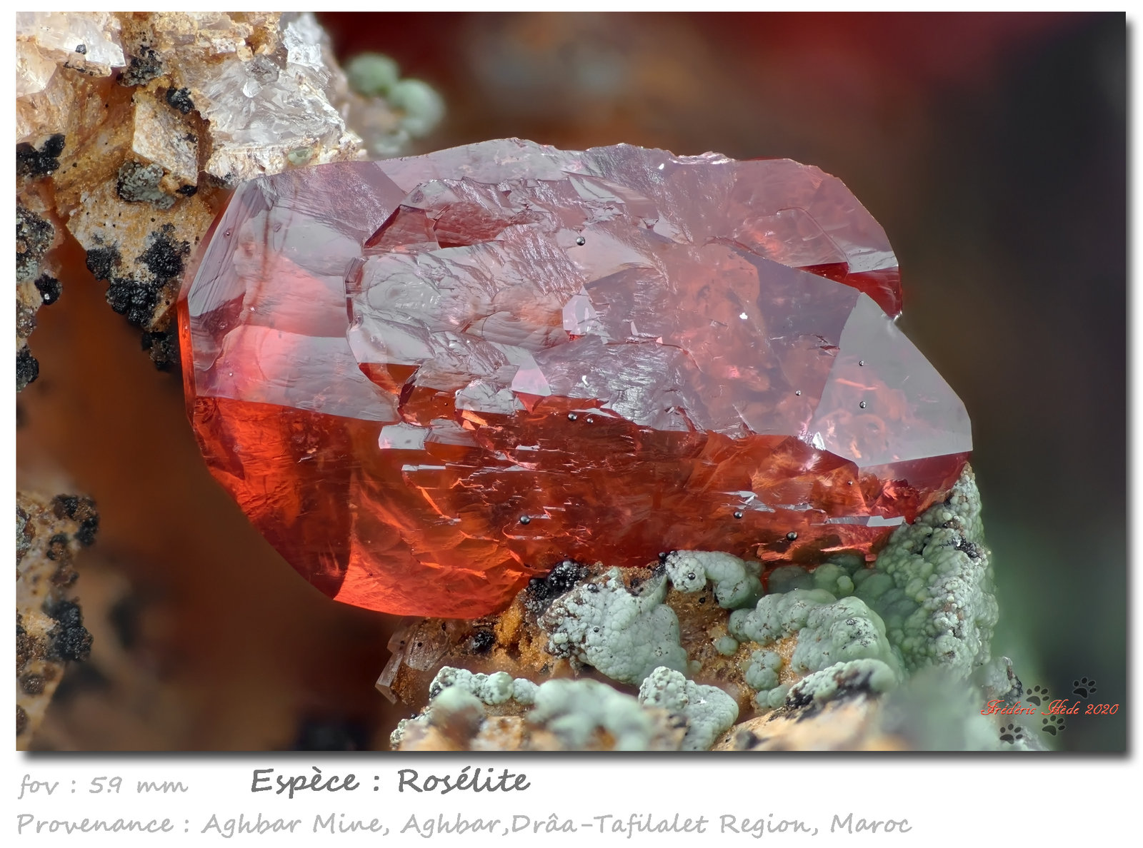 Roselite
fov 5.9 mm
(Autor: ploum)