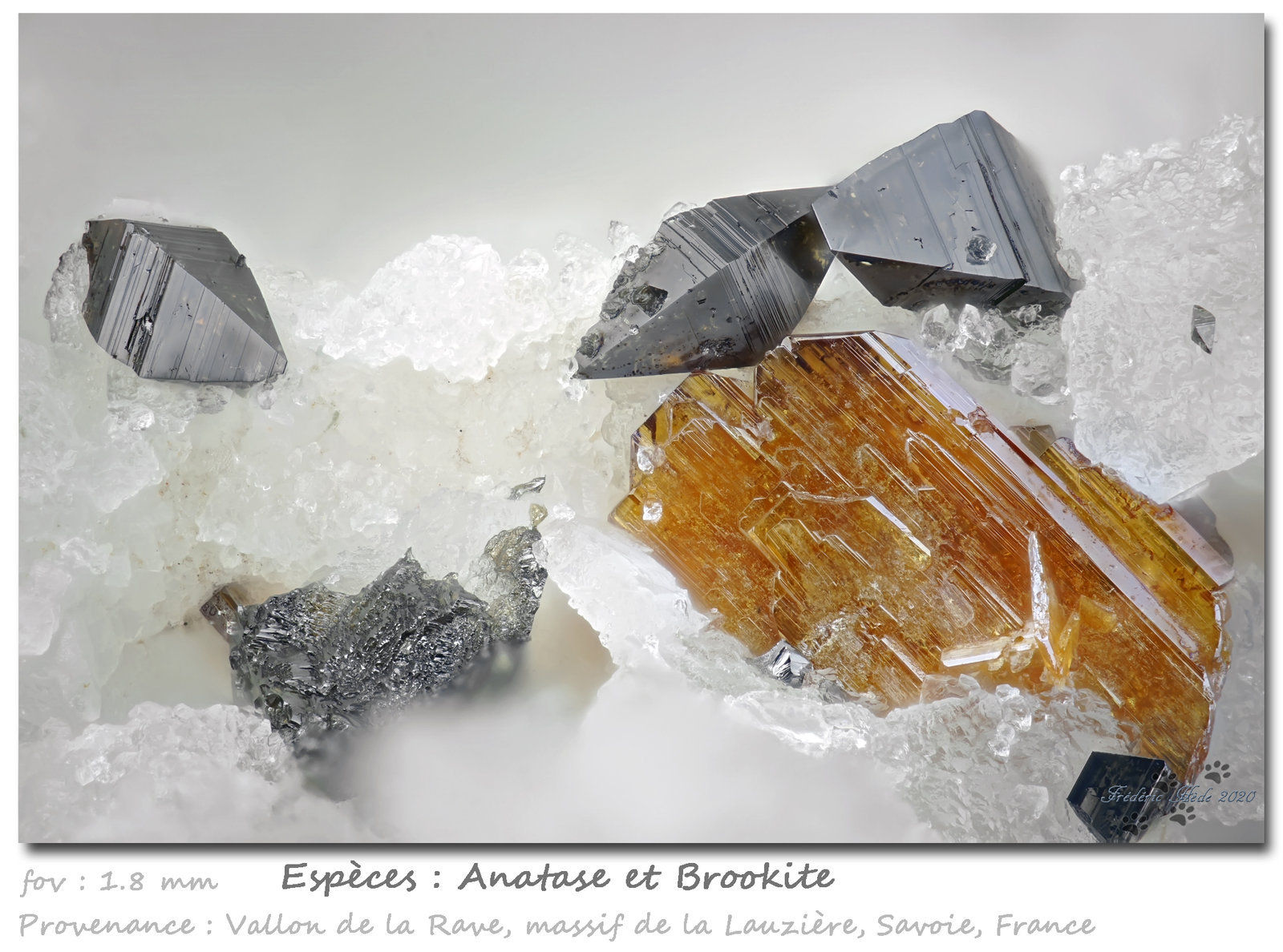 Brookite and Anatase
fov 1.8 mm
(Autor: ploum)