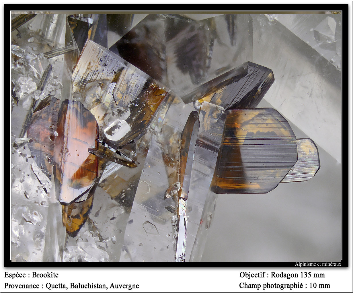 Brookite
fov 10 mm
(Autor: ploum)