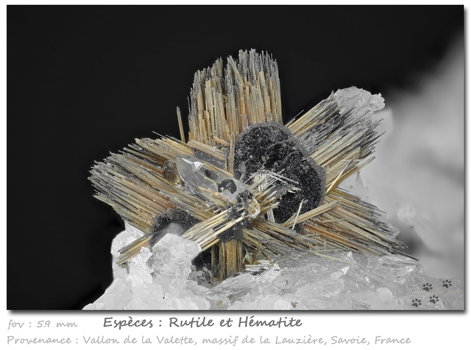 Rutile and Hematite
fov 5.9 mm
(Autor: ploum)