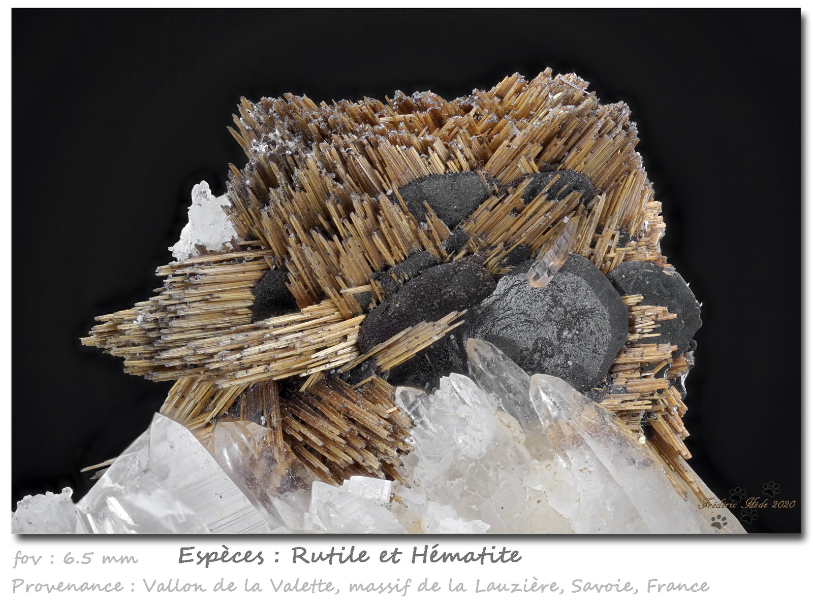 Rutile and Hematite
fov 6.5 mm
(Autor: ploum)