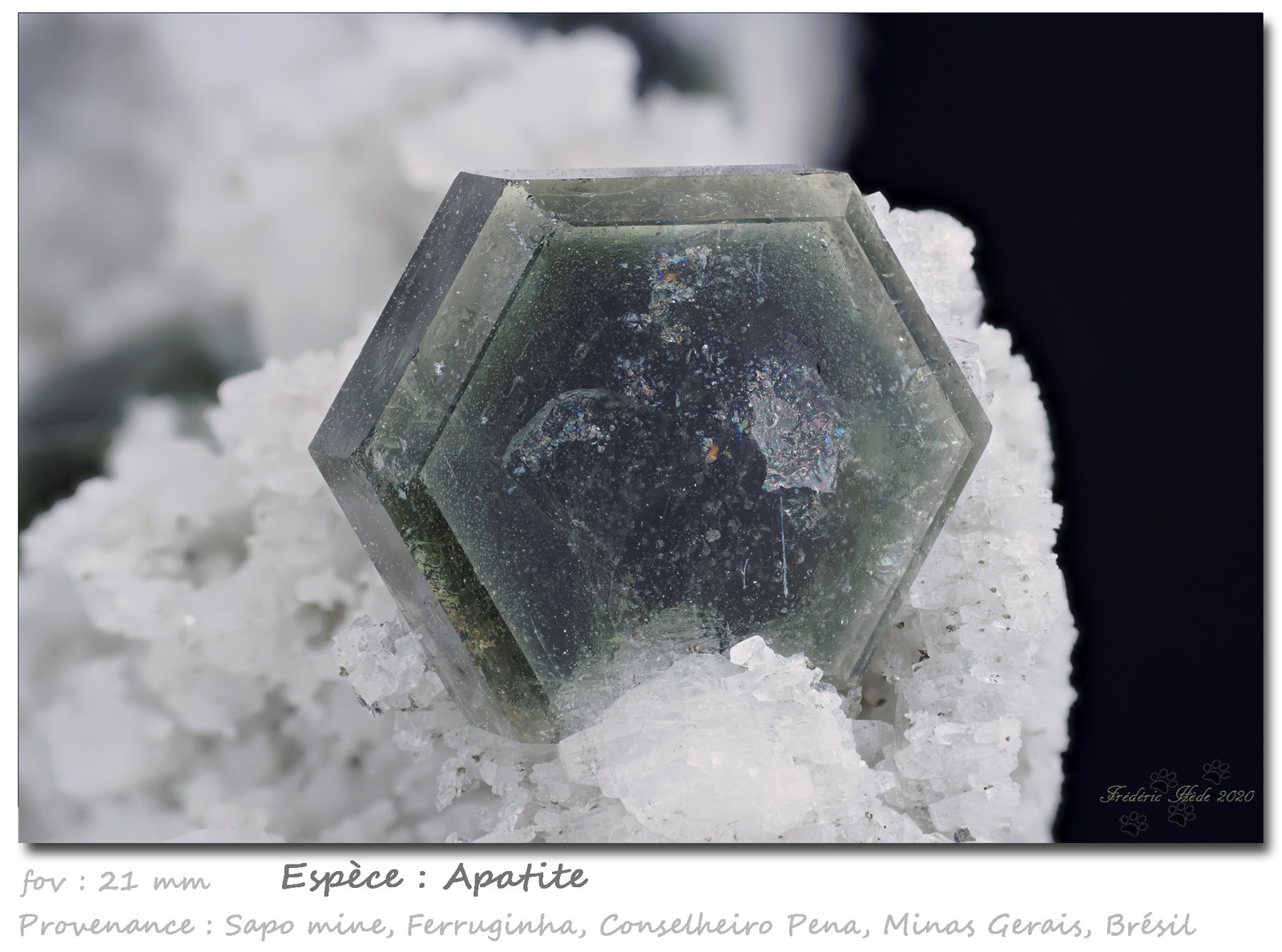 Fluorapatite
fov 21 mm
(Autor: ploum)