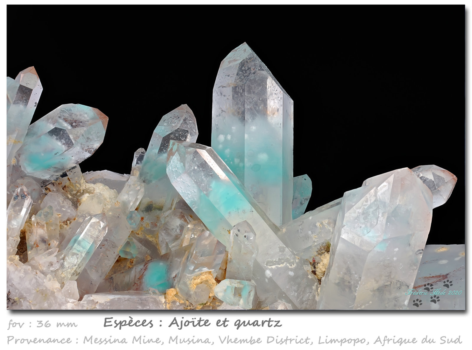 Ajoite in Quartz
fov 36 mm
(Autor: ploum)