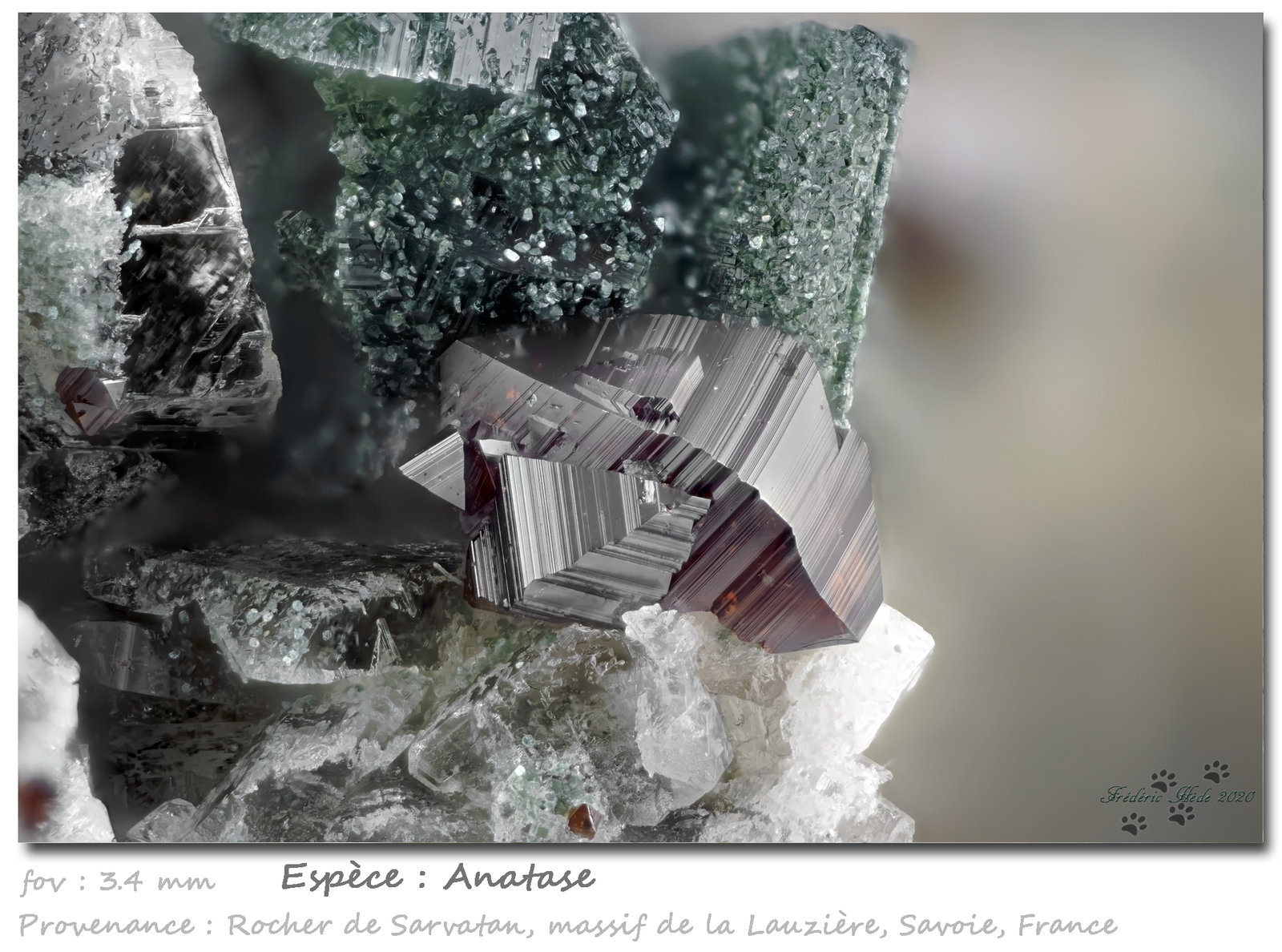 Anatase
fov 3.4 mm
(Autor: ploum)