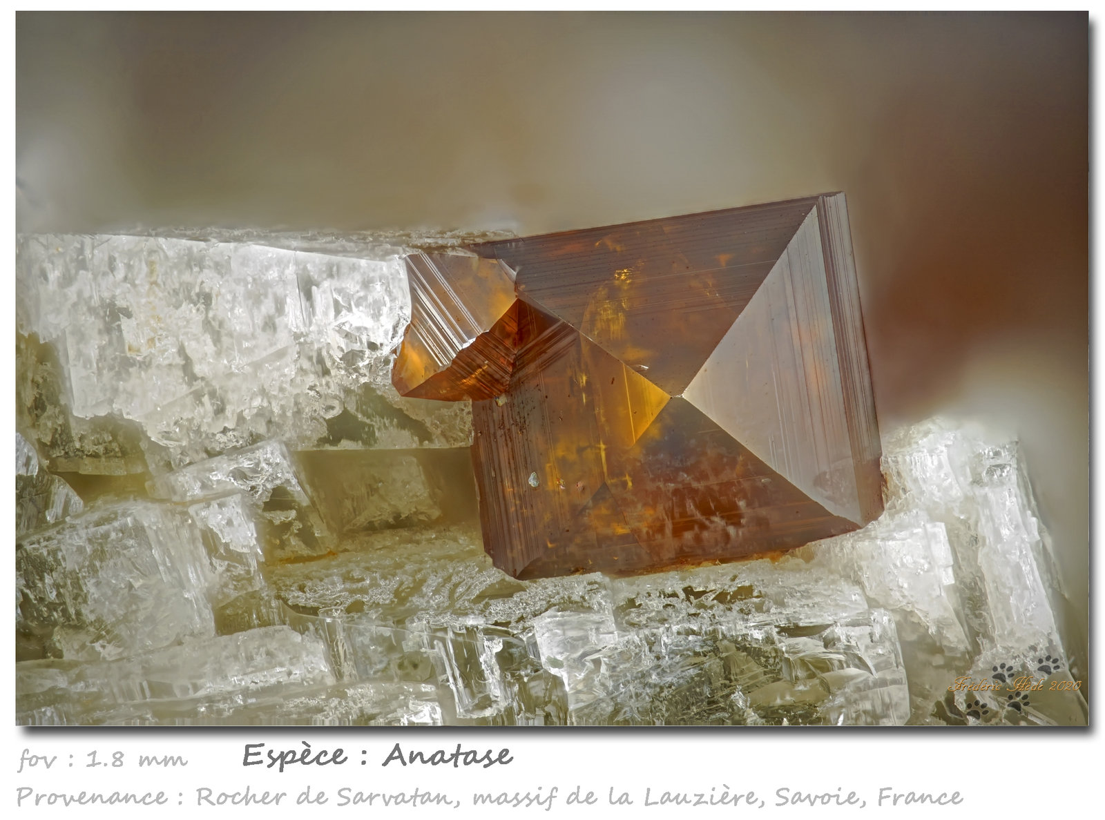 Anatase
fov 1.8 mm
(Autor: ploum)
