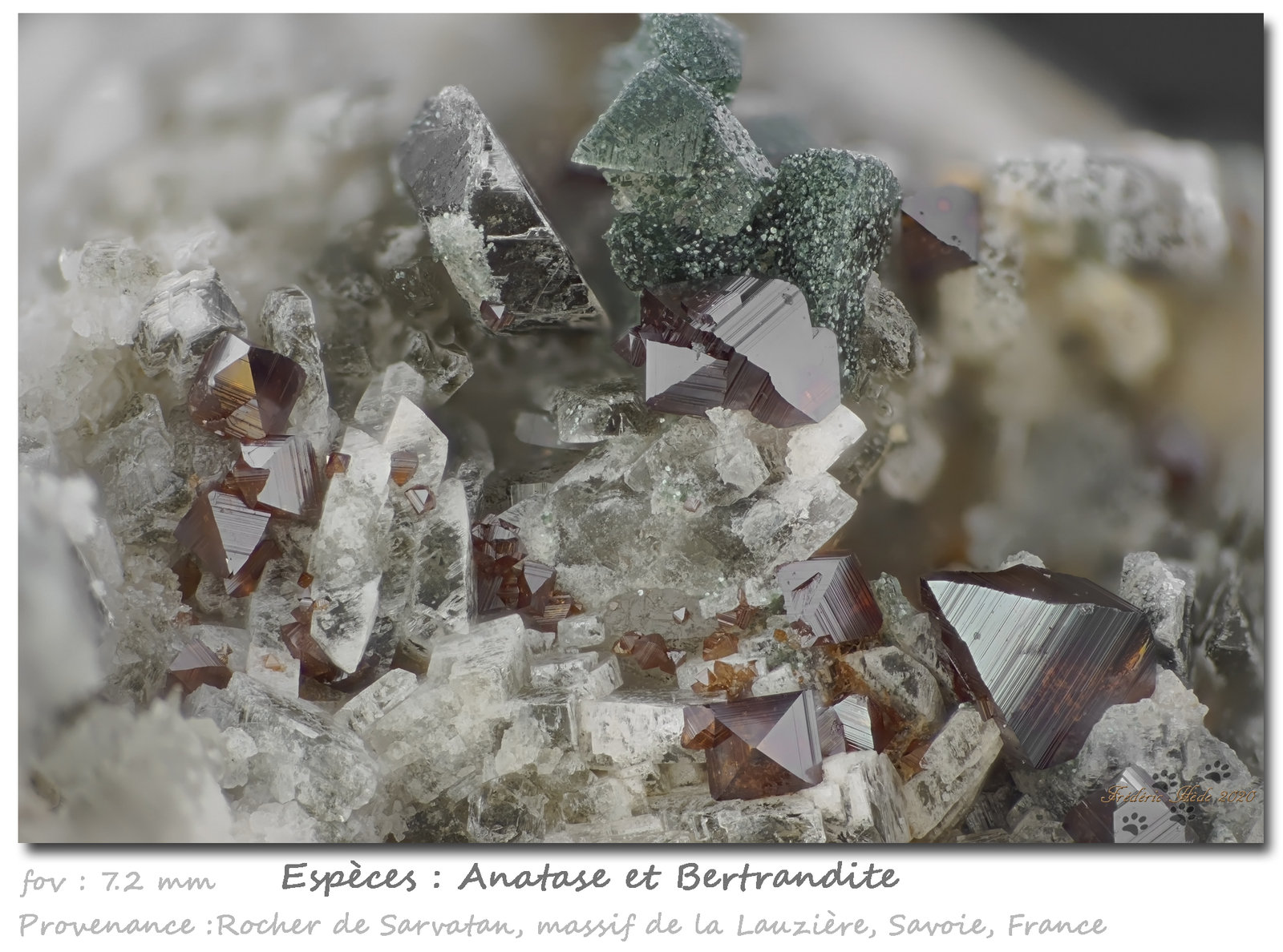 Anatase and Bertrandite
fov 7.2 mm
(Autor: ploum)