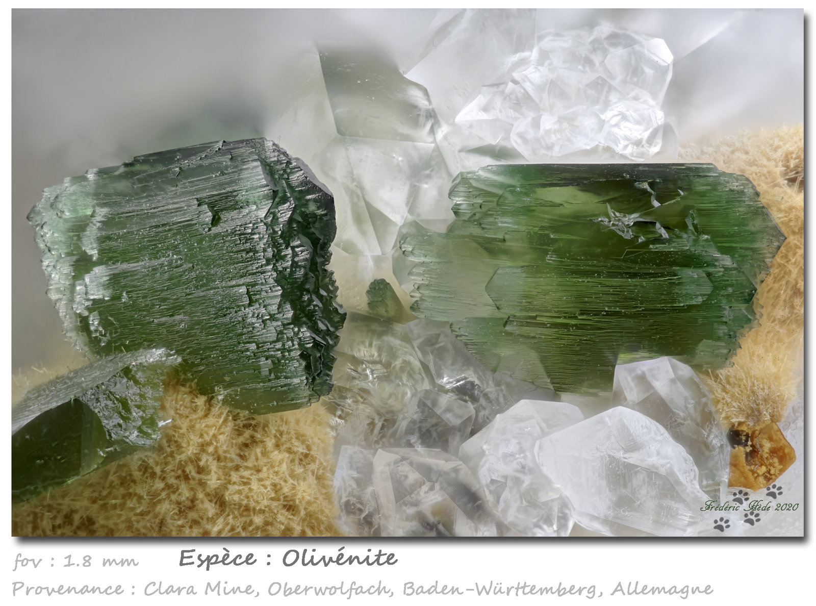 Olivenite
fov 1.8 mm
(Autor: ploum)
