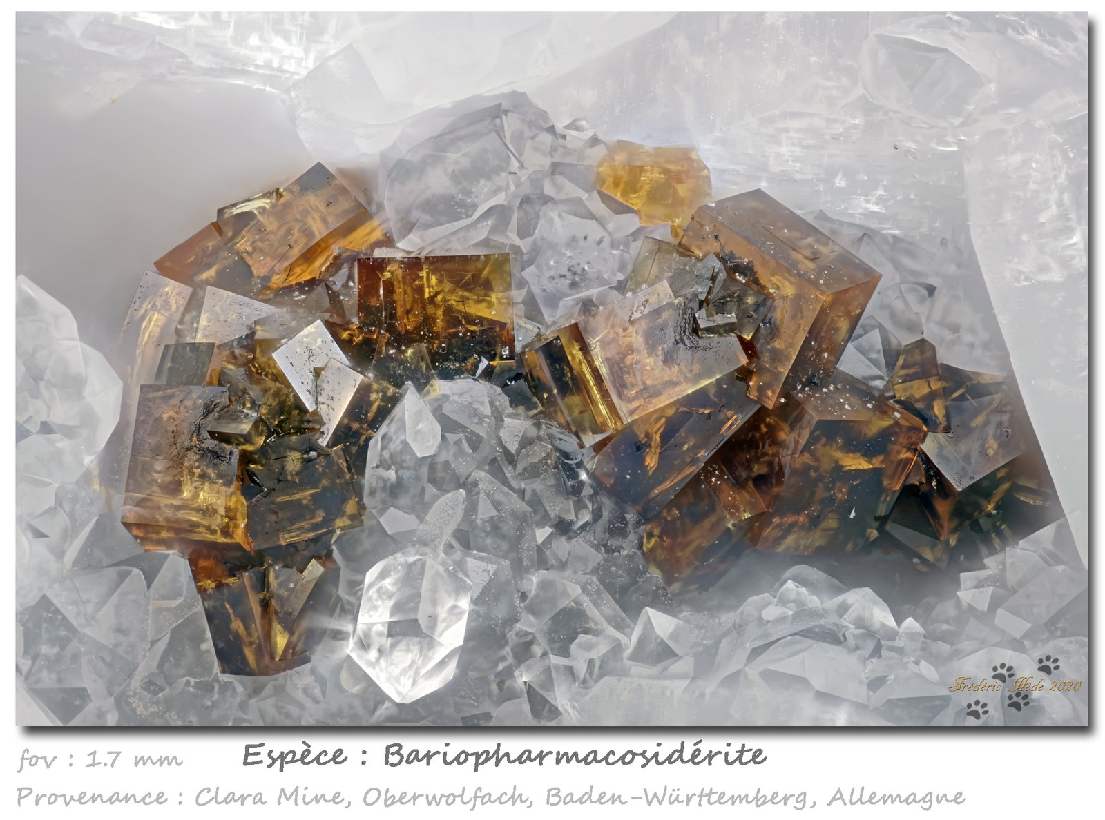 Bariopharmacosiderite
fov 1.7 mm
(Autor: ploum)