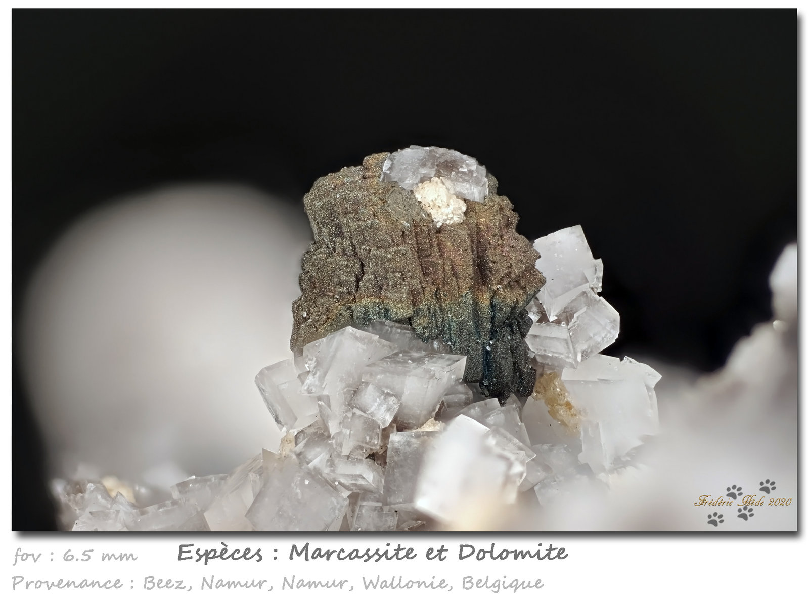 Marcasite and Dolomite
fov 6.5 mm
(Autor: ploum)