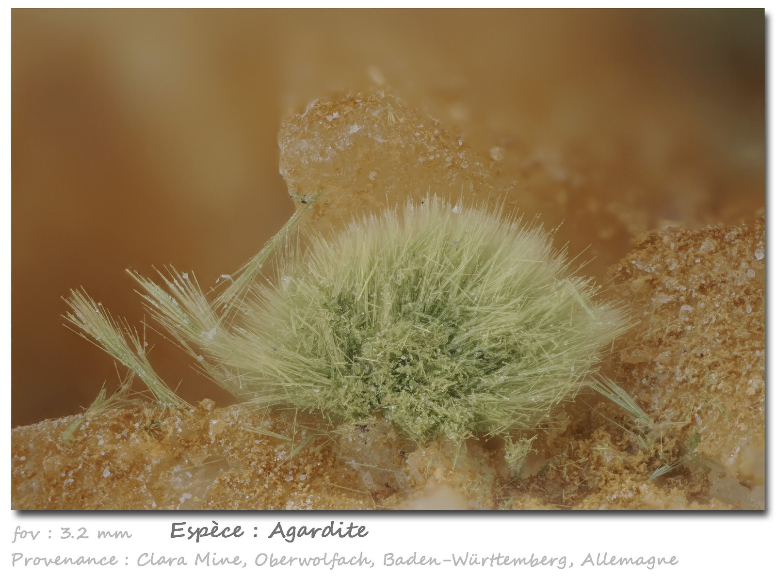 'Agardite'
fov 3.2 mm
(Autor: ploum)