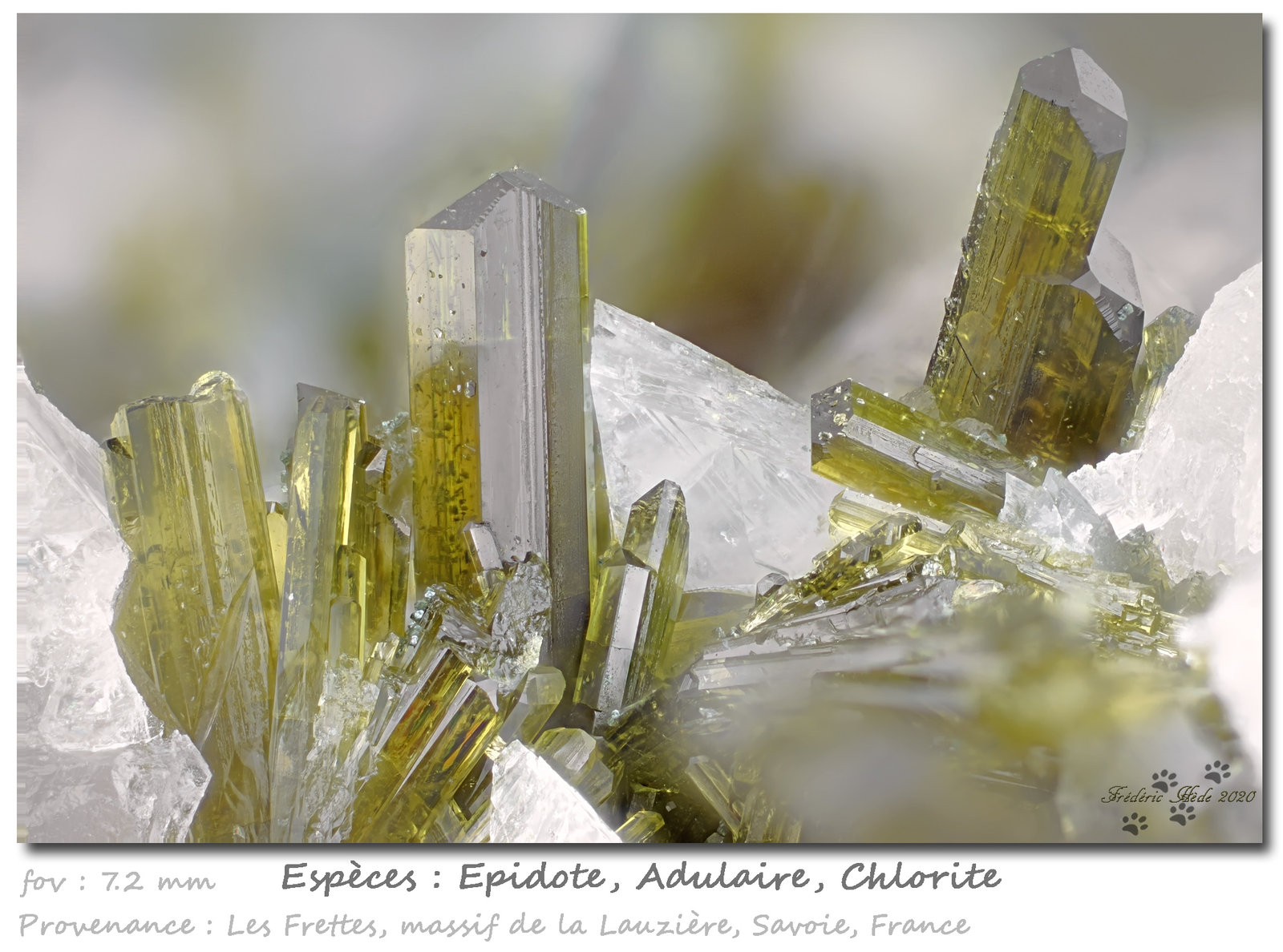 Epidote with Orthoclase (variety adularia) and Chlorite
fov 7.2 mm
(Autor: ploum)