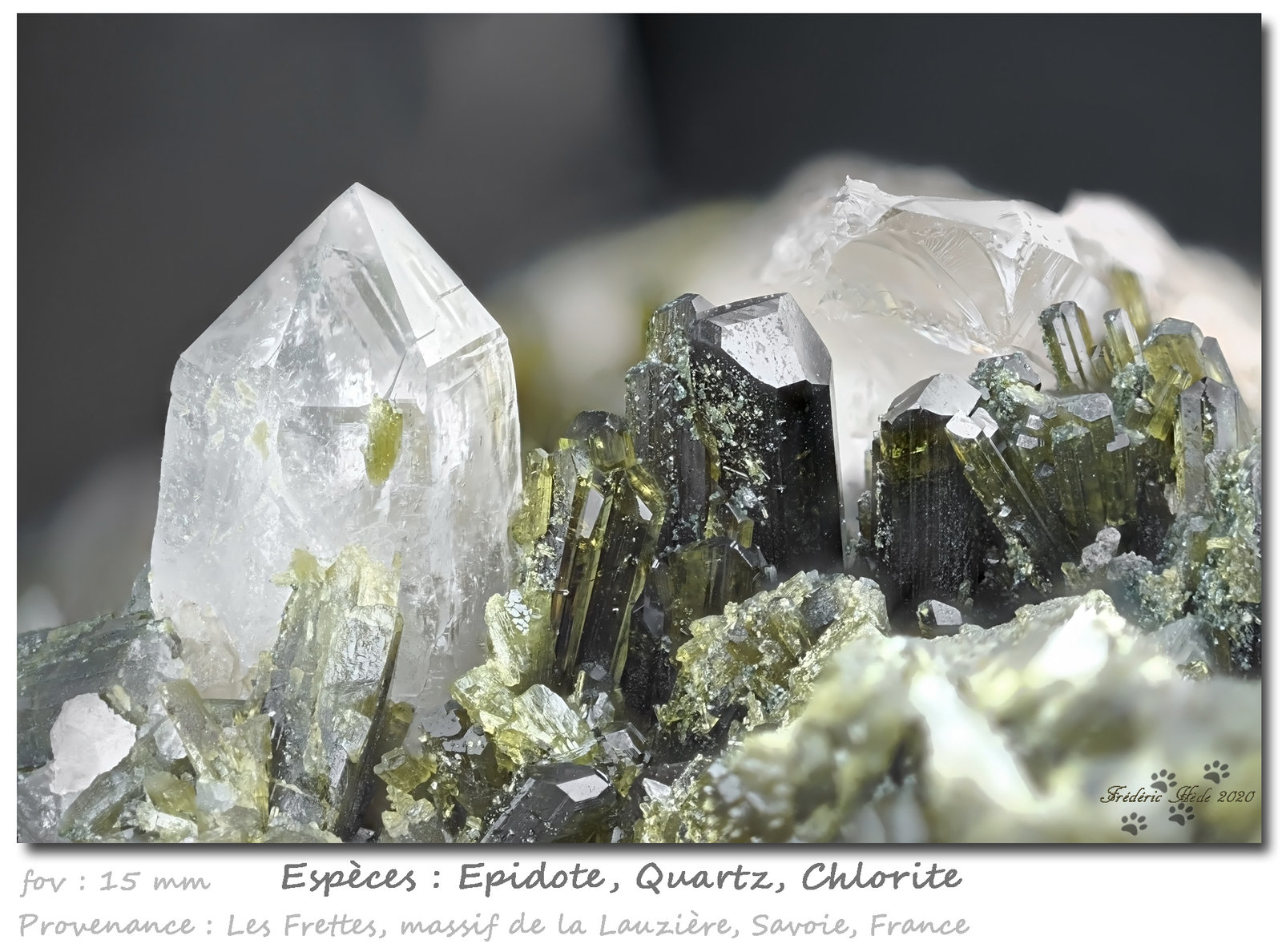 Epidote with Quartz and Chlorite
fov 15 mm
(Autor: ploum)