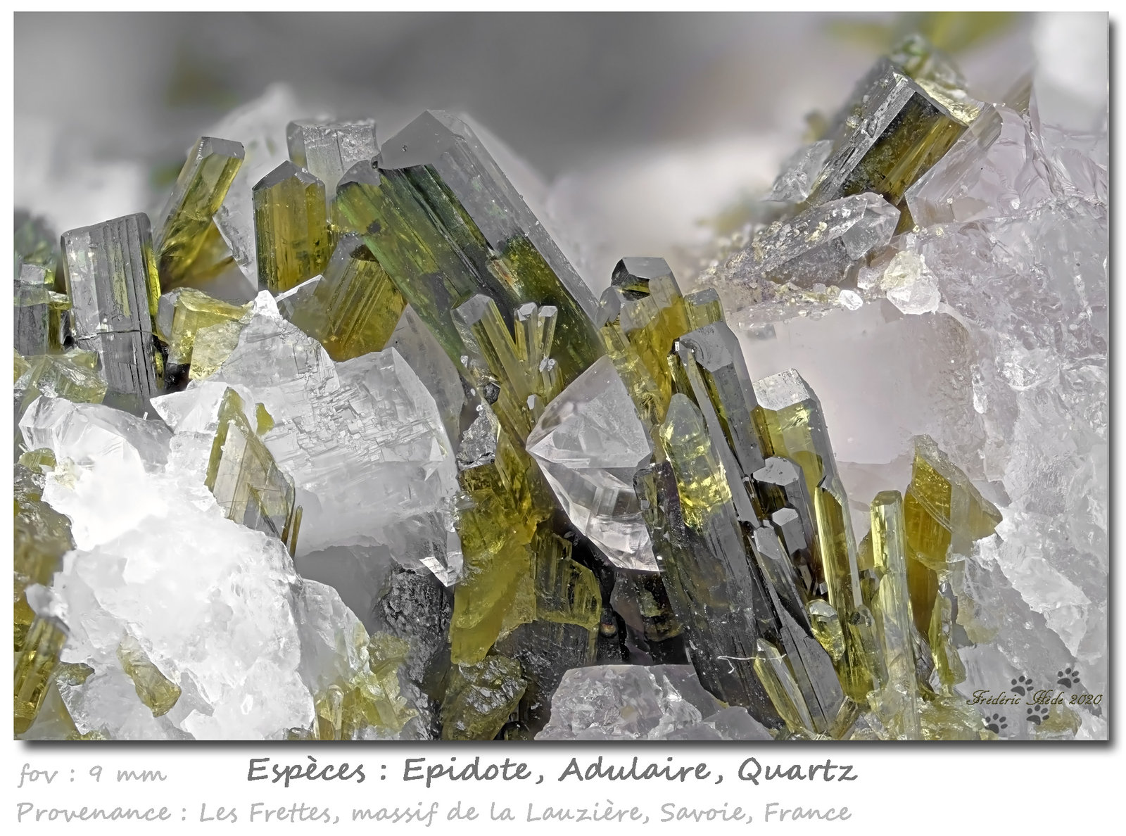 Epidote with Orthoclase (variety adularia) and Quartz
fov 9 mm
(Autor: ploum)