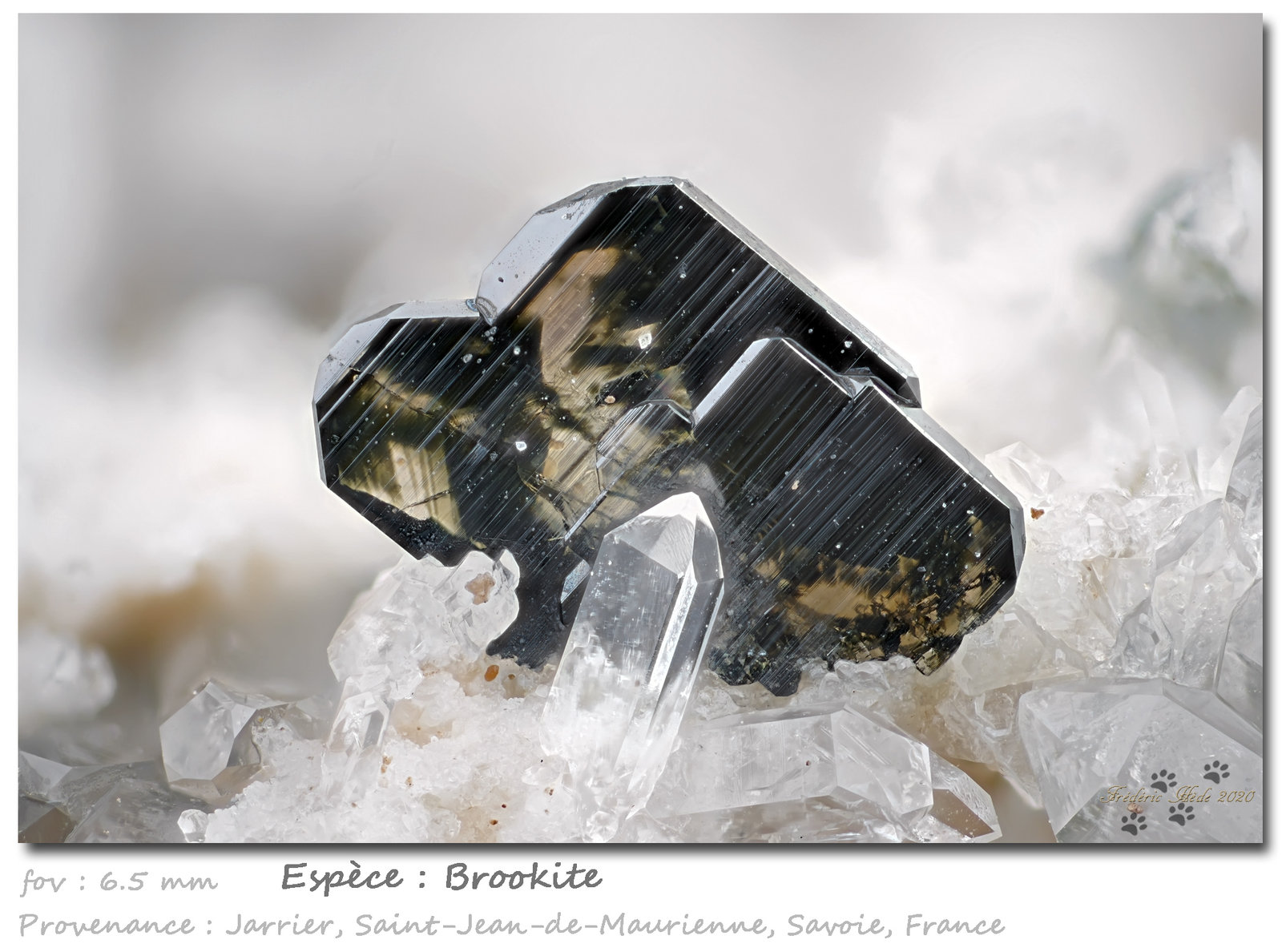 Brookite
fov 6.5 mm
(Autor: ploum)