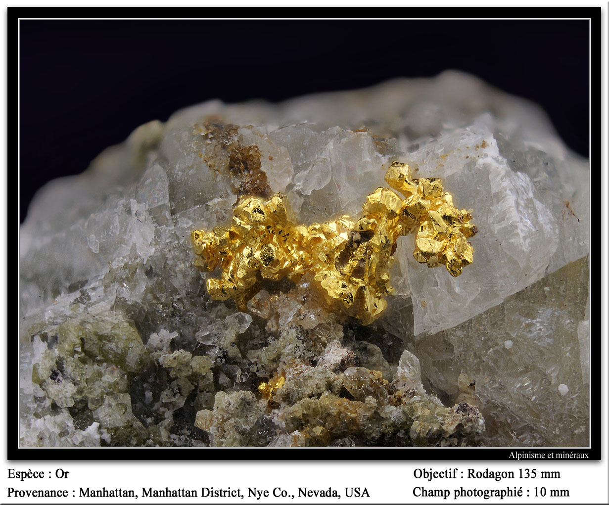 Gold
fov 10 mm
(Autor: ploum)