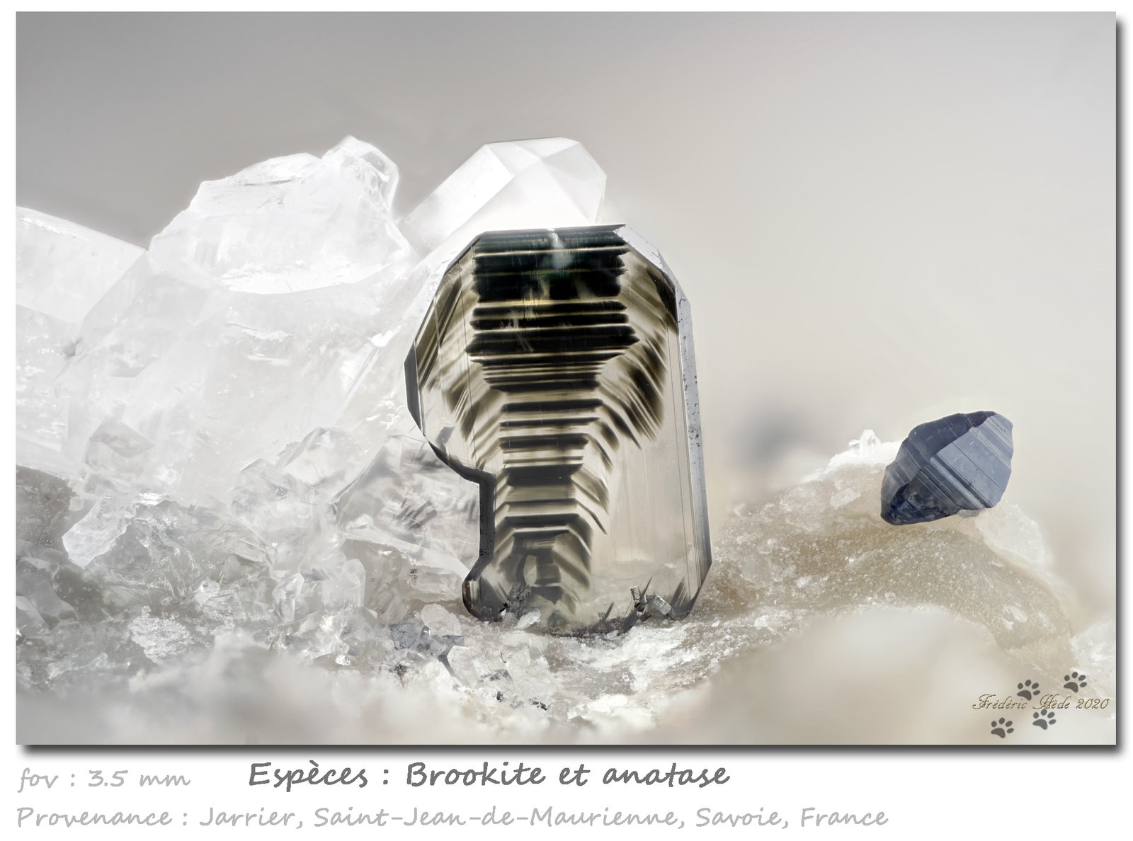 Brookite and Anatase
fov 3.5 mm
(Autor: ploum)