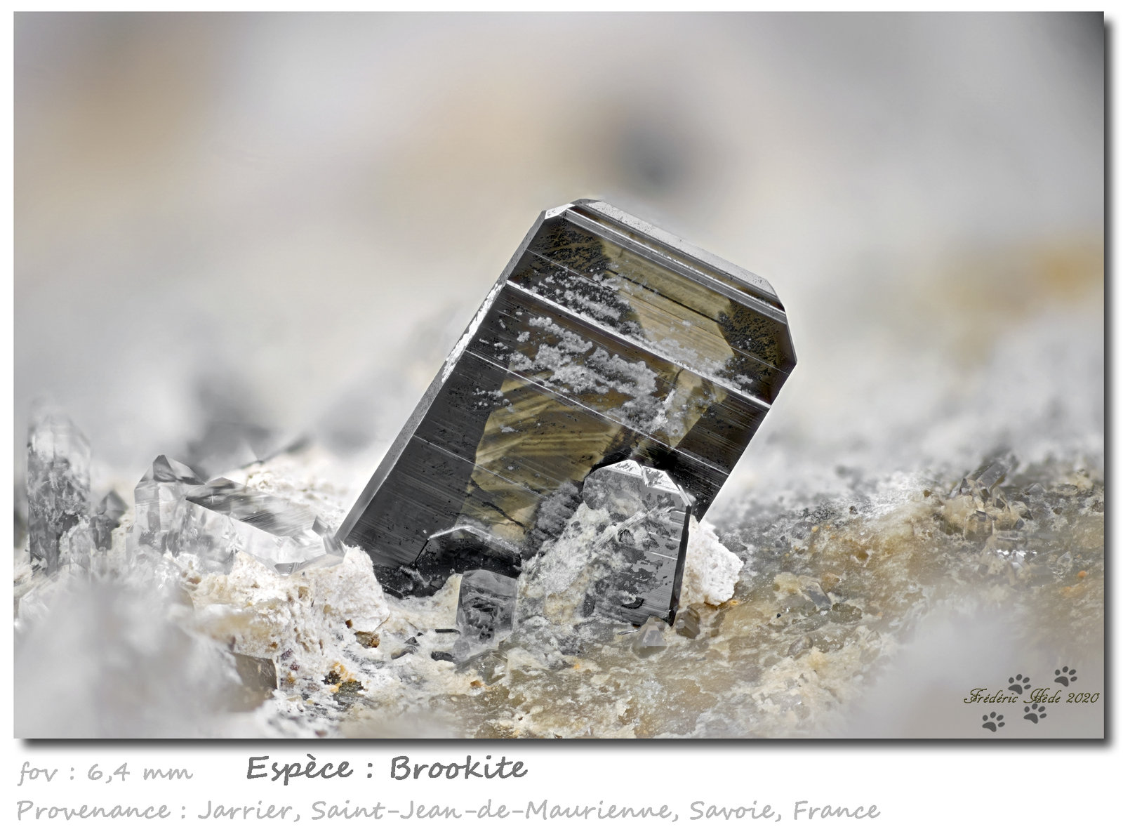 Brookite
fov 6.4 mm
(Autor: ploum)