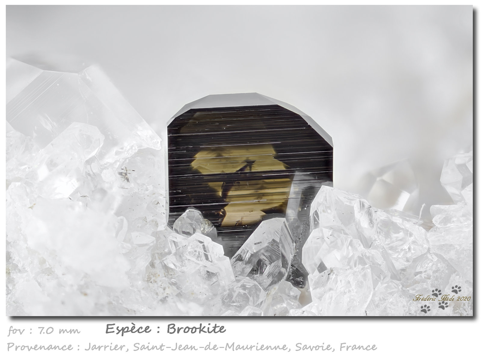 Brookite
fov 7.0 mm
(Autor: ploum)