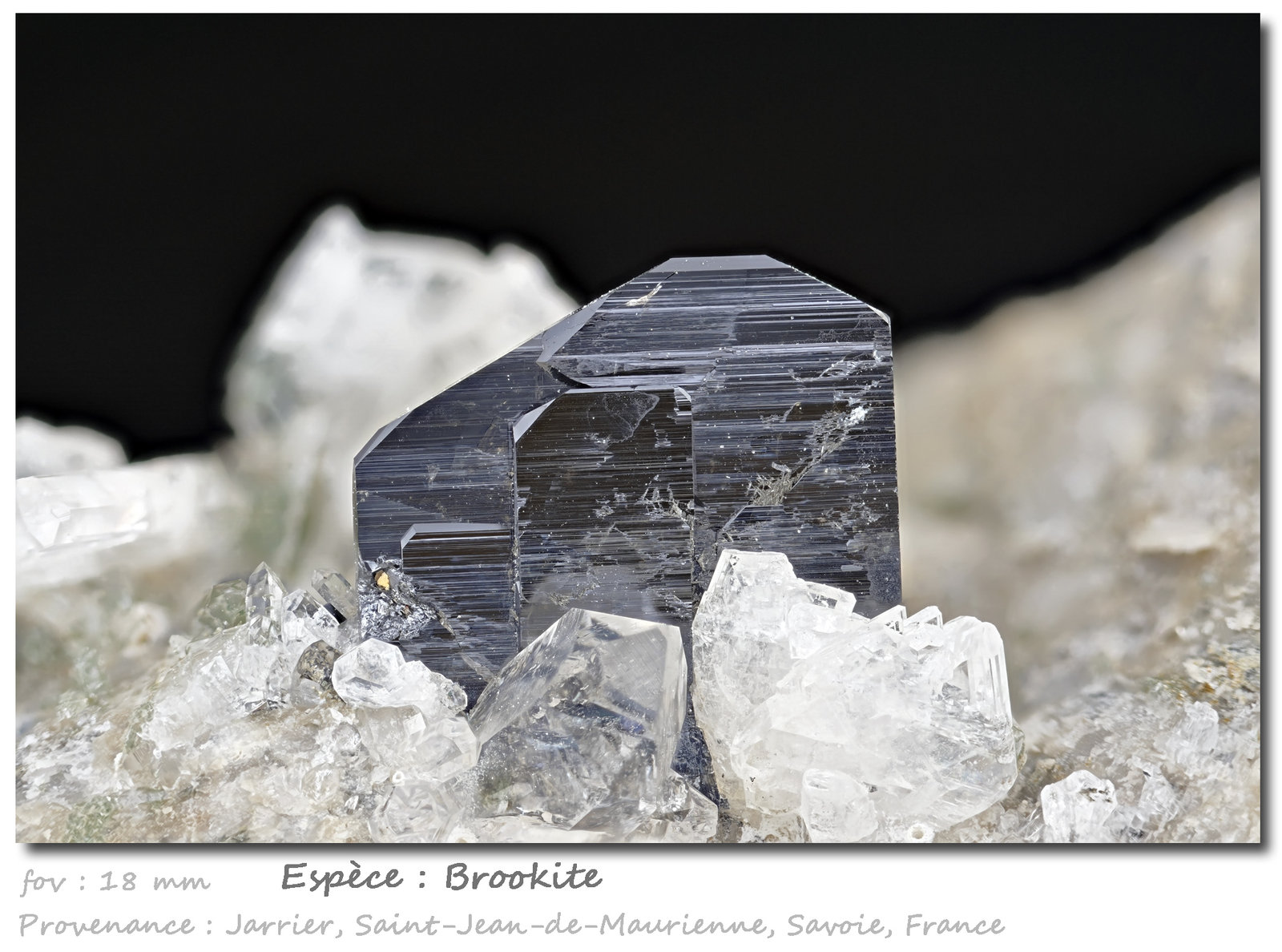 Brookite
fov 18 mm
(Autor: ploum)