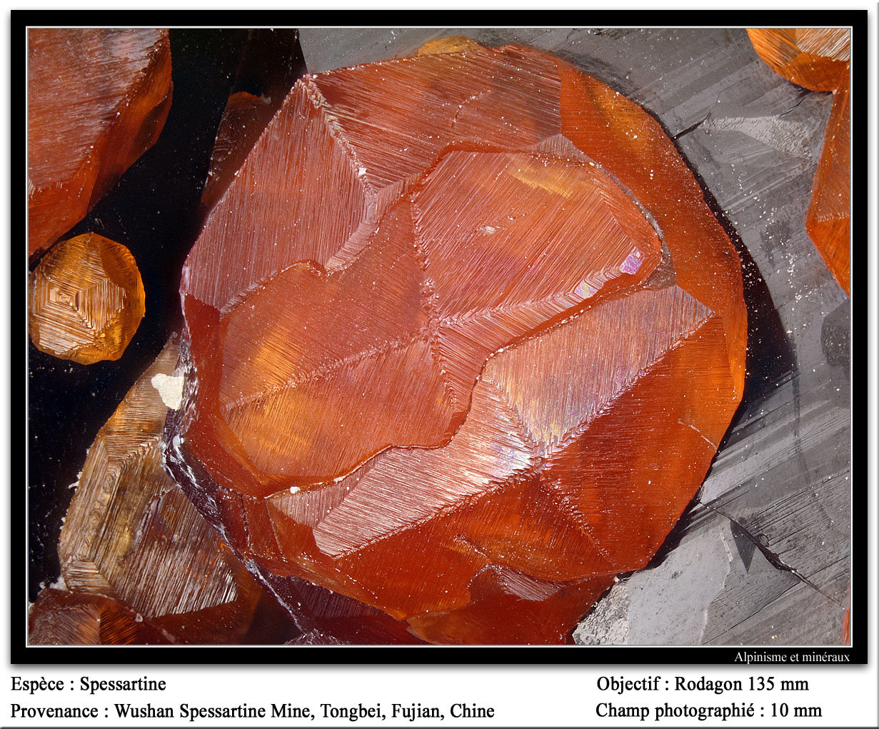 Spessartine
fov 11 mm
(Autor: ploum)