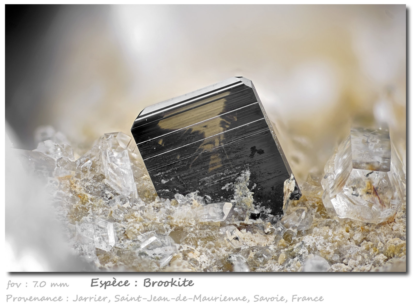 Brookite
fov 7.0 mm
(Autor: ploum)