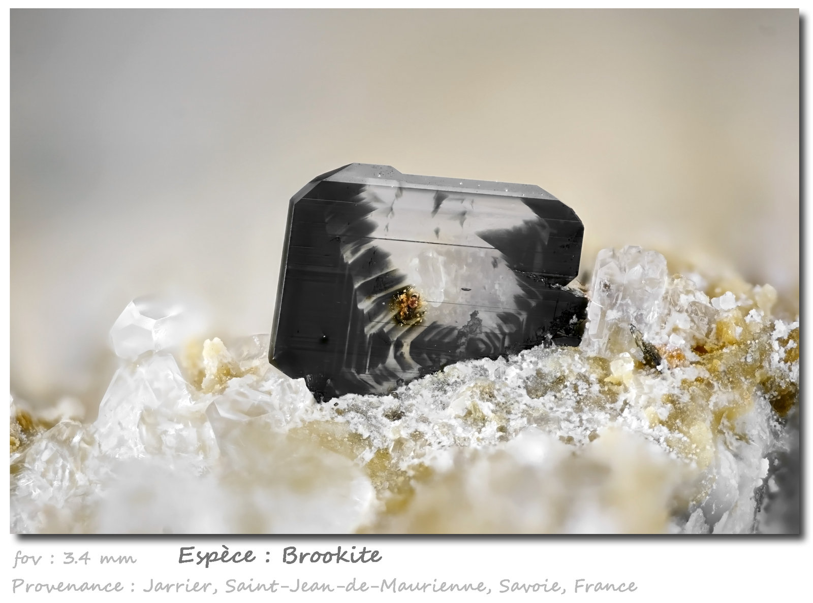 Brookite
fov 3.4 mm
(Autor: ploum)