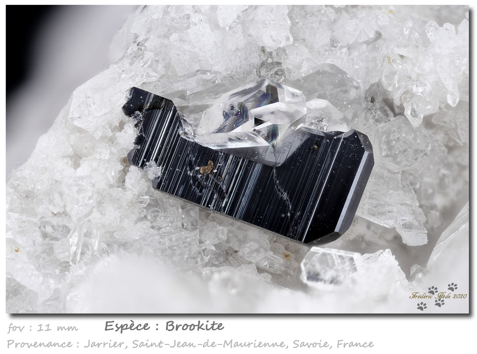 Brookite
fov 11 mm
(Autor: ploum)