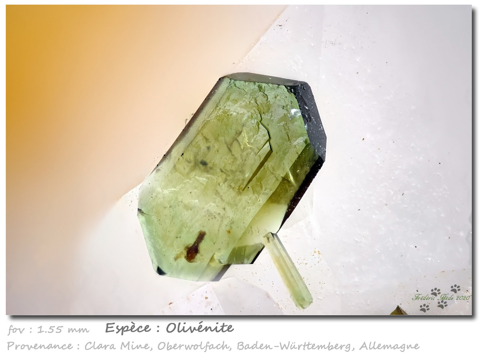 Olivenite
fov 1.55 mm
(Autor: ploum)