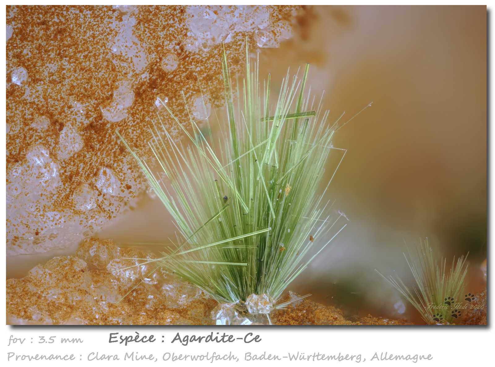 Agardite
fov 3.5 mm
(Autor: ploum)