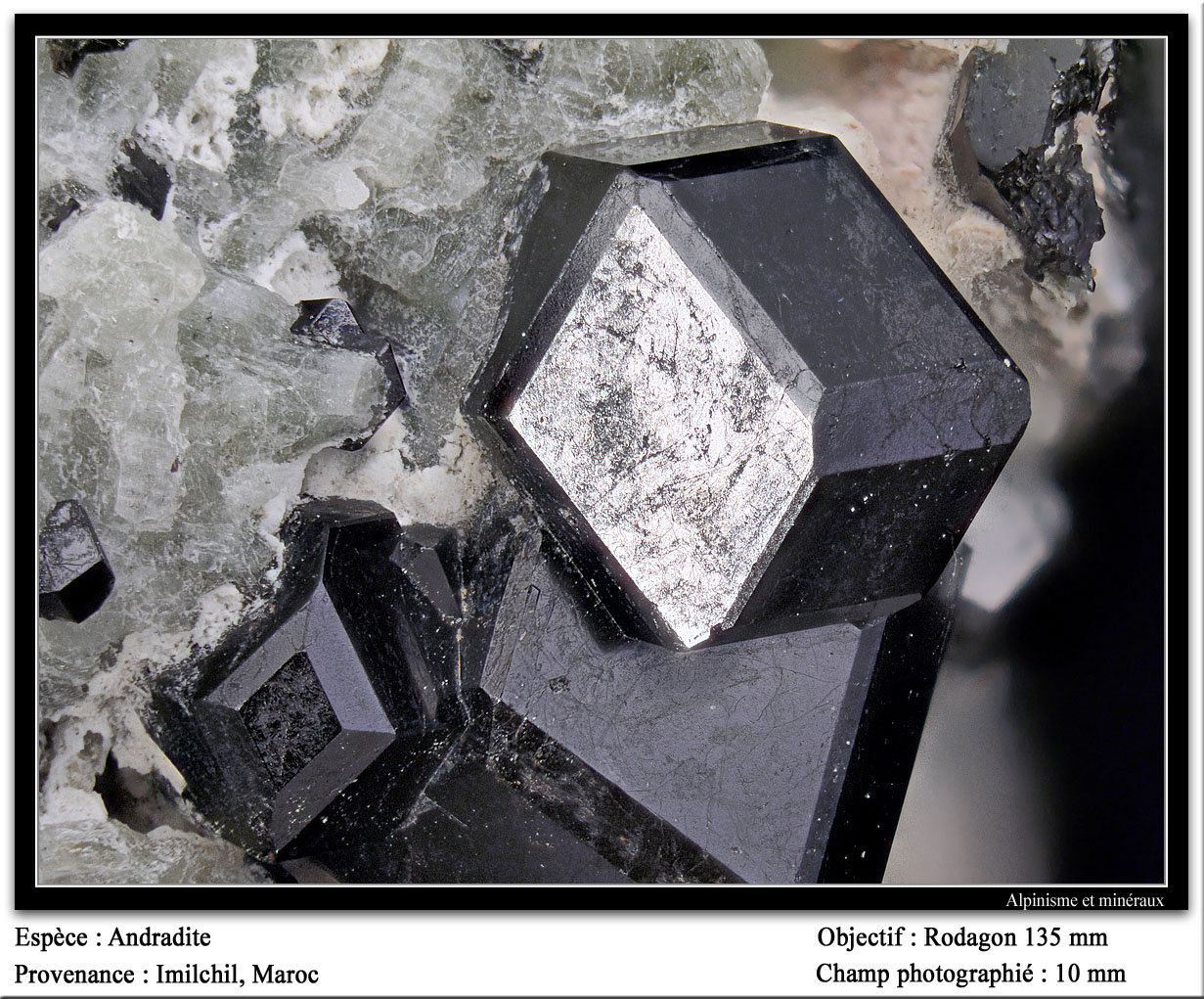 Andradite
fov 10 mm
(Autor: ploum)