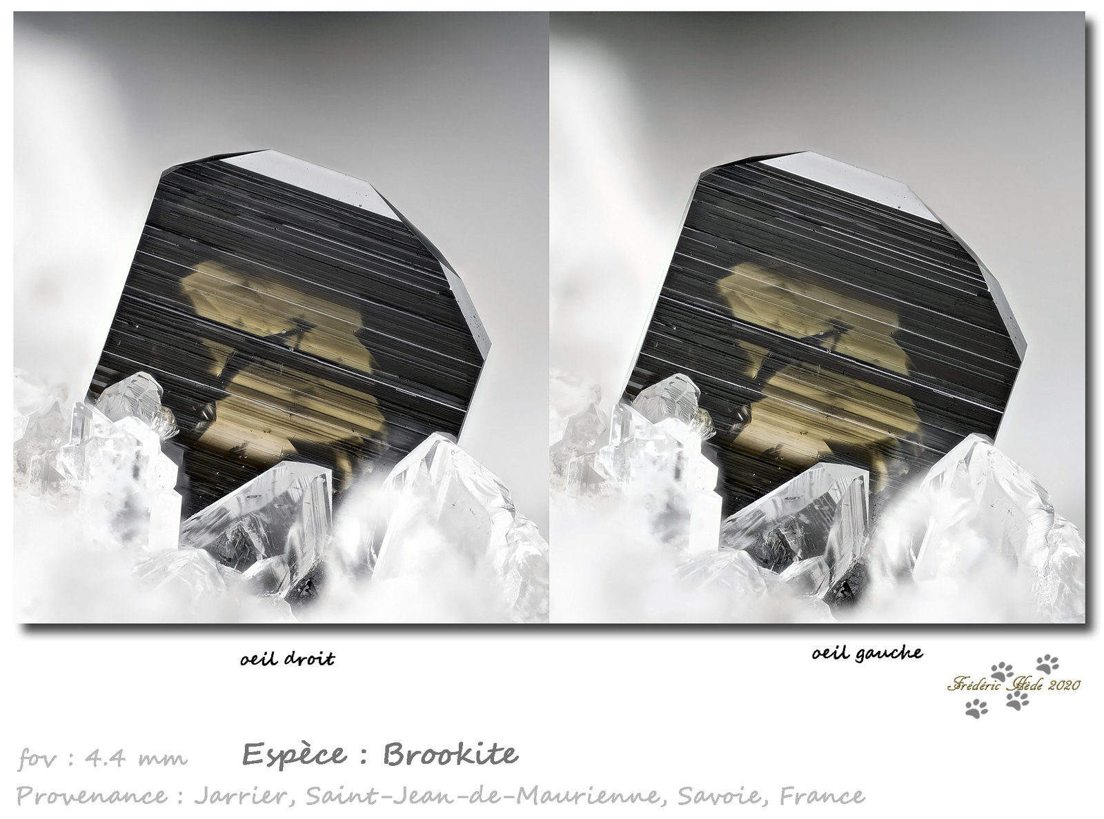 Brookite
fov 4.4 mm
(Autor: ploum)